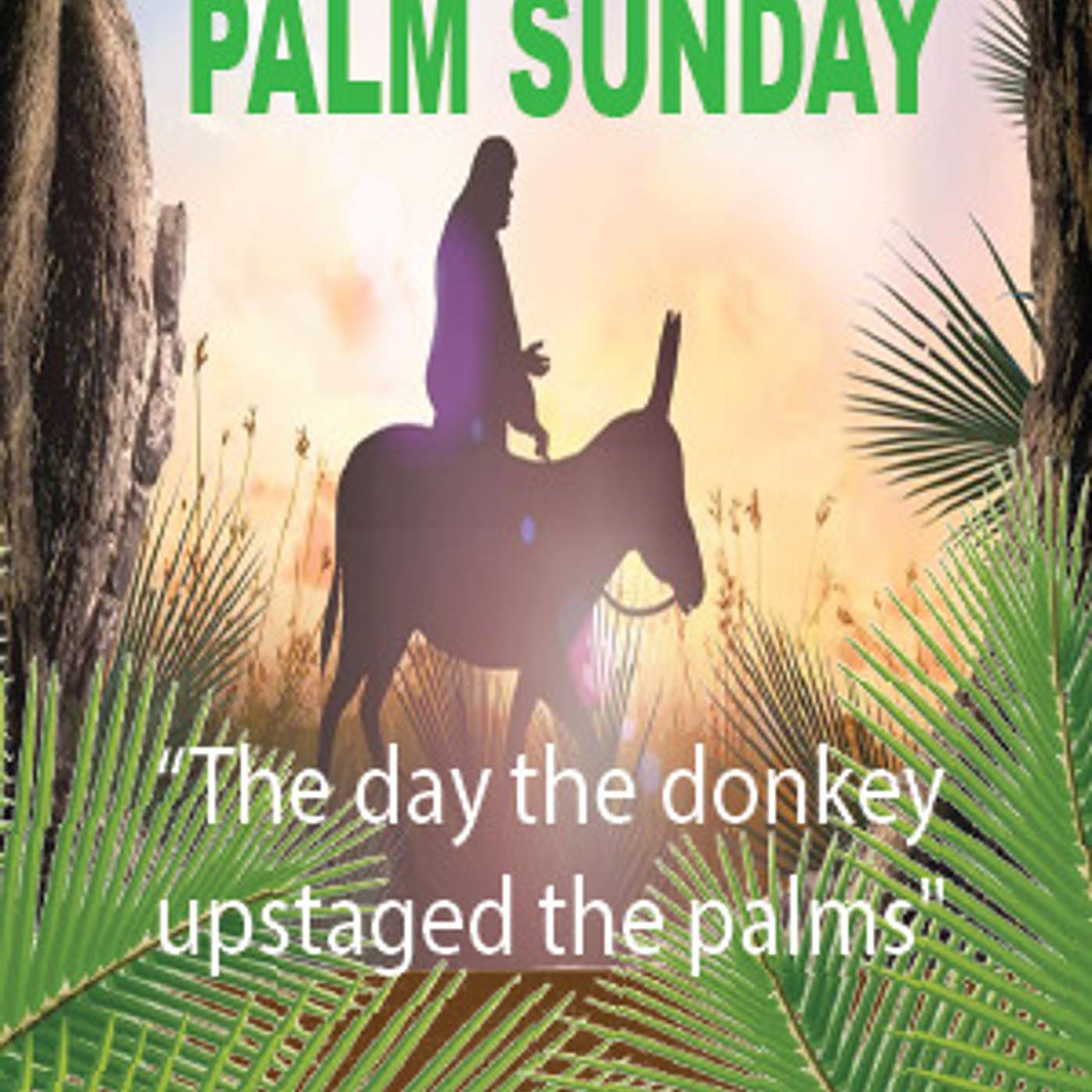 PALM SUNDAY: "The day the donkey upstaged the palms" episode artwork