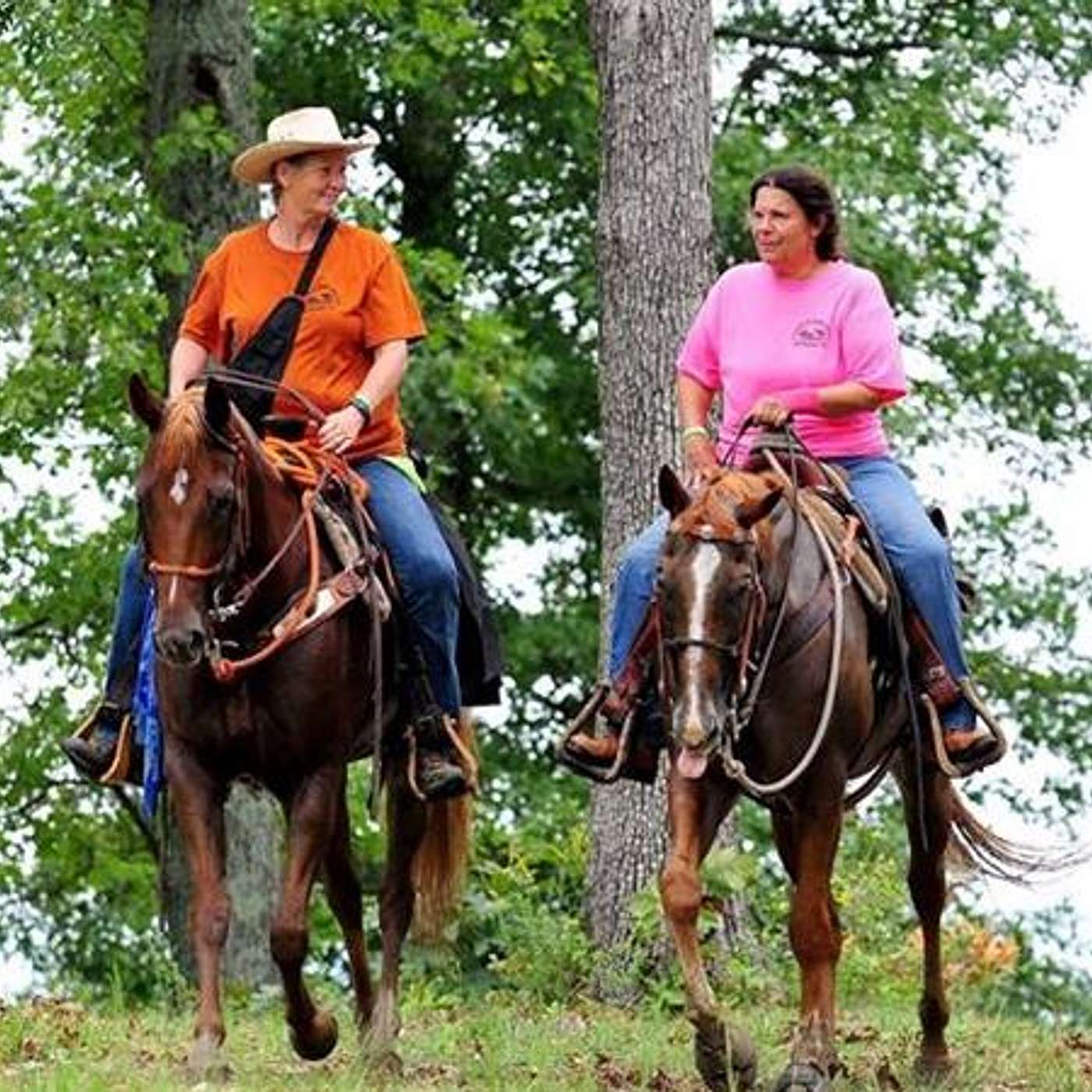 JOIN US for SADDLE UP SATURDAY on EQUESTRIAN LEGACY RADIO!
