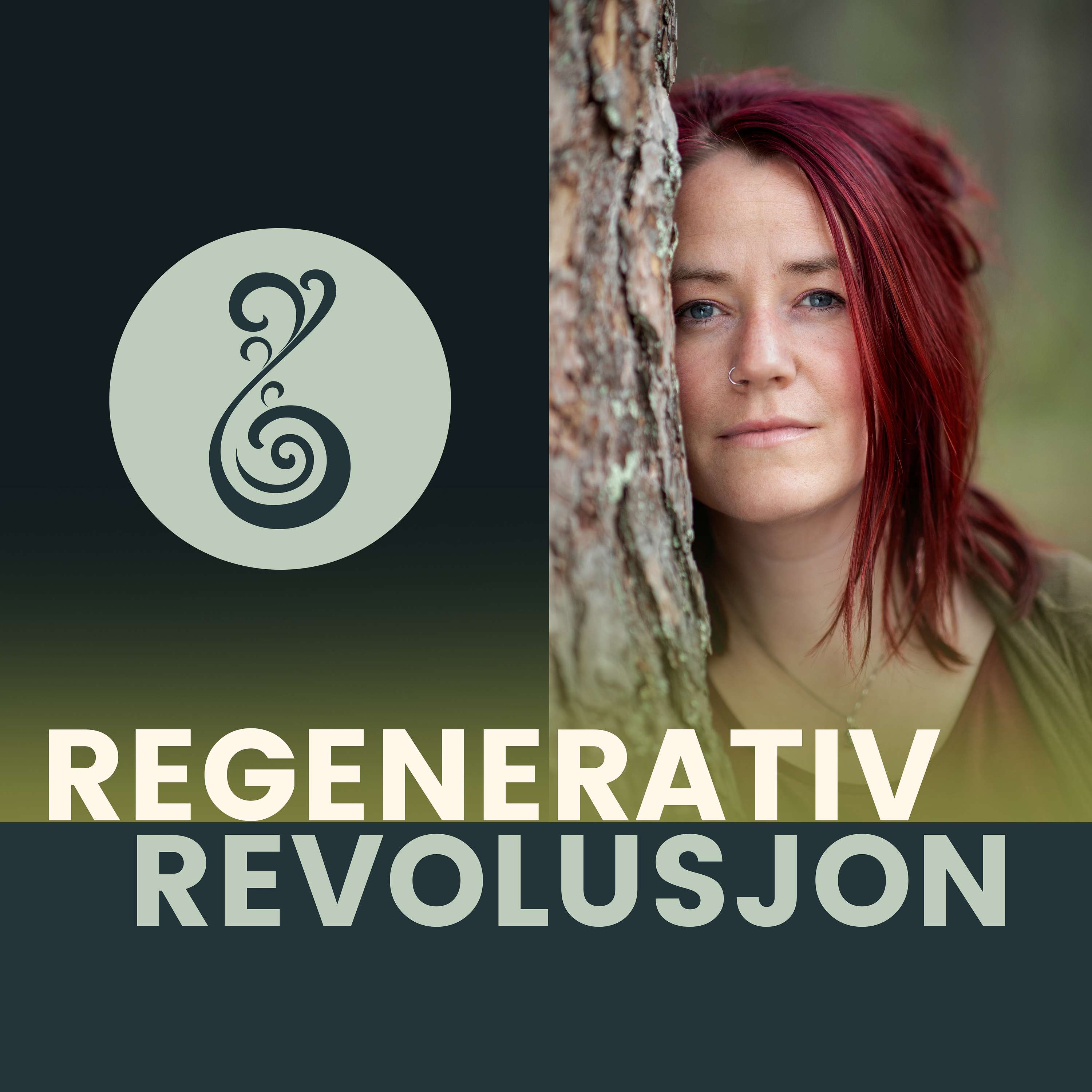 Regenerativ revolusjon
