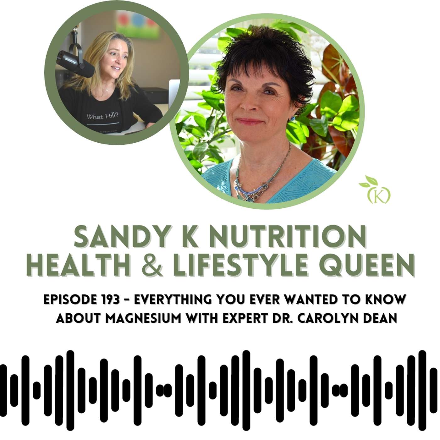 Everything You Ever Wanted to Know About Magnesium with Expert Dr. Carolyn Dean - Episode 193