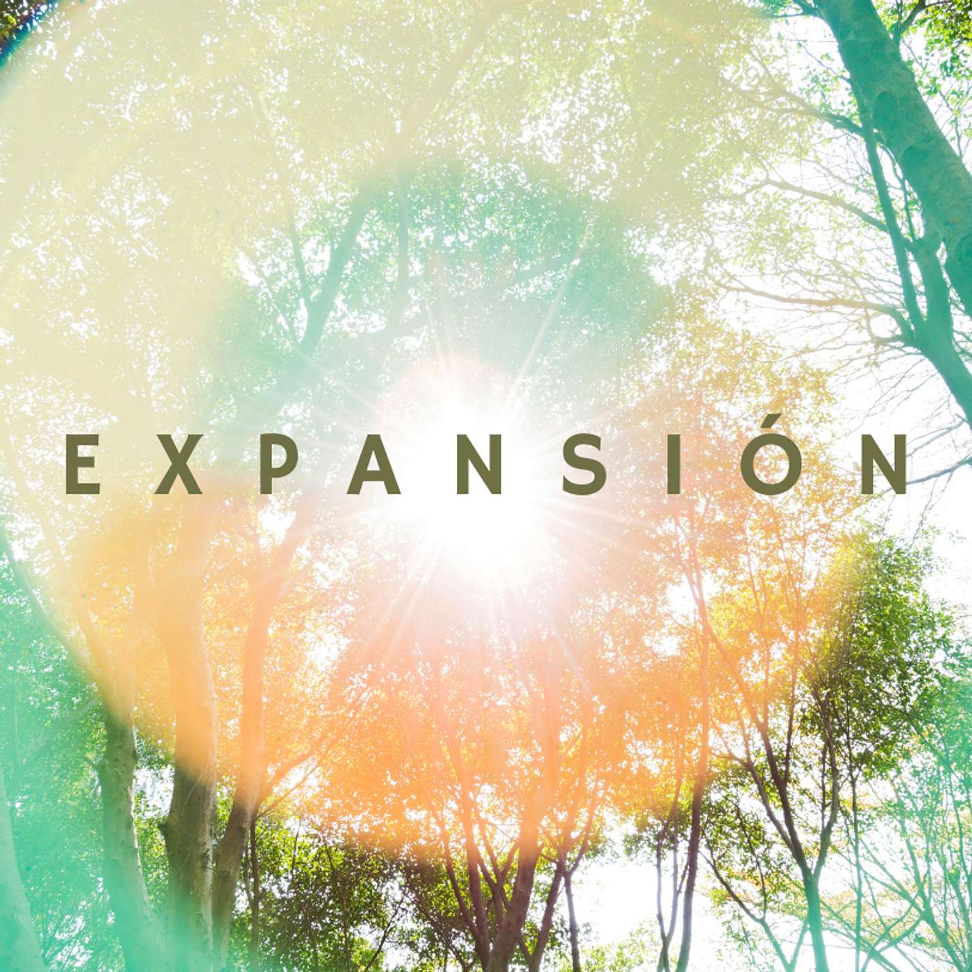 Expansión