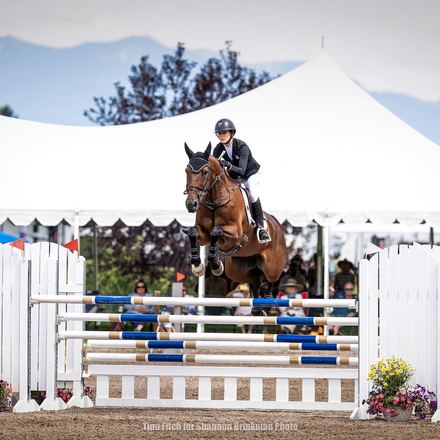 Major League Eventing Podcast