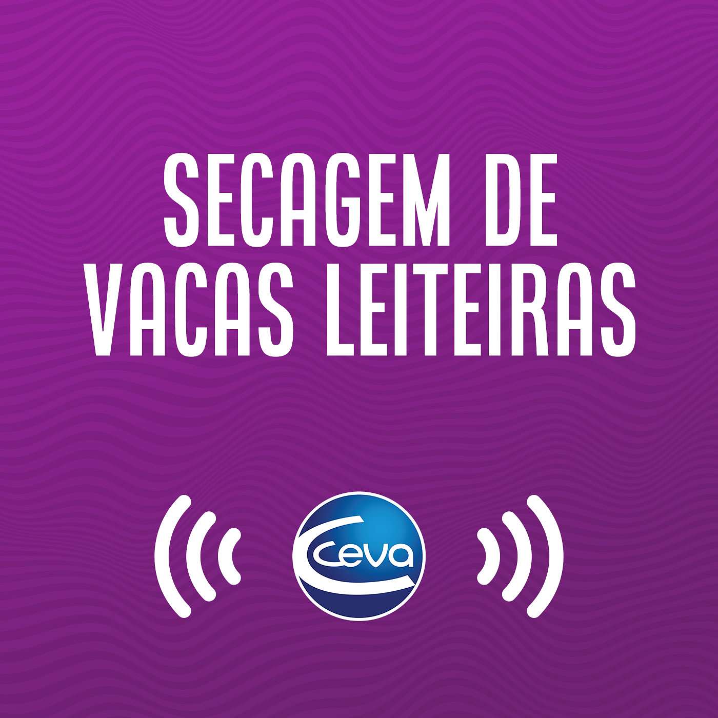 Secagem #06 Impacto do facilitador de secagem sobre os 3 eixos episode artwork