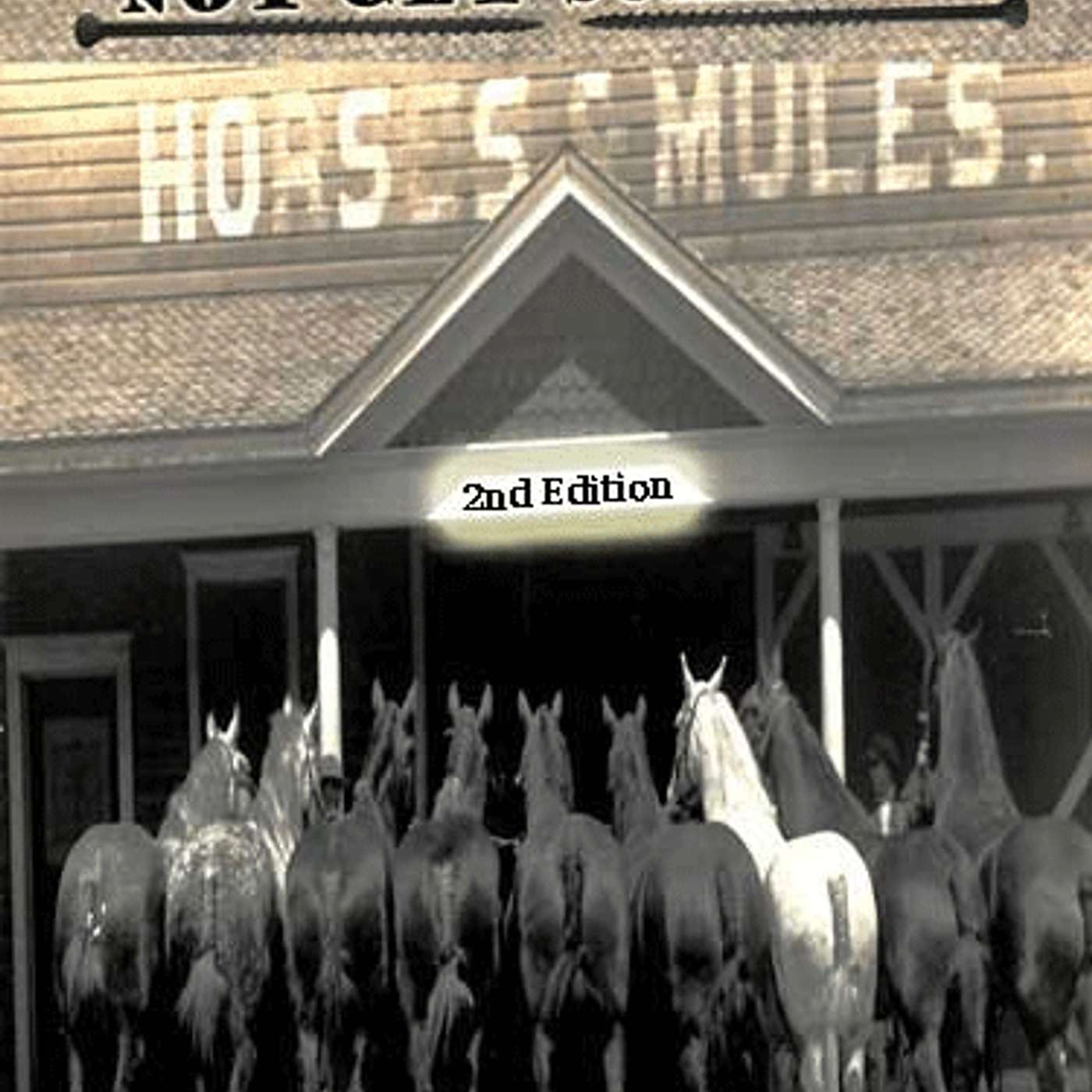 HOW TO BUY A MULE & NOT GET SCREWED - CINDY K. ROBERTS episode artwork