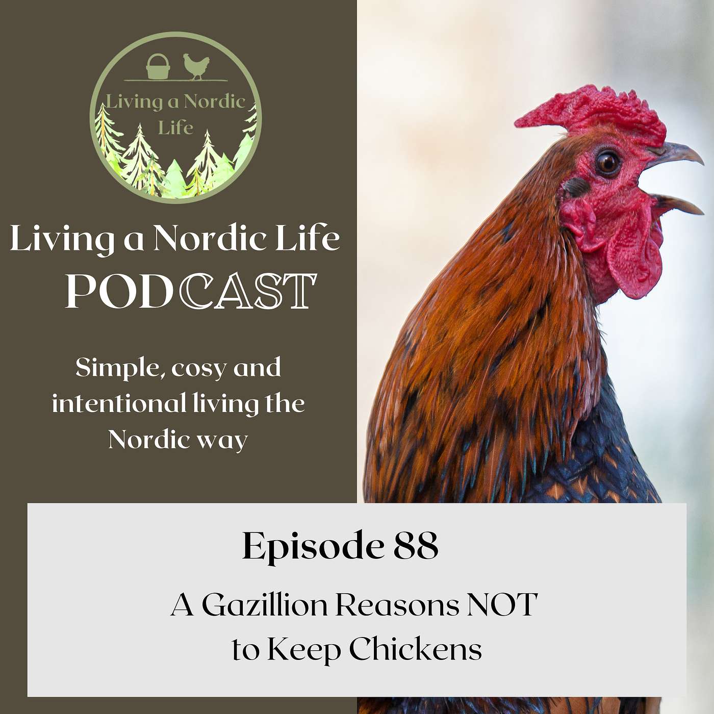 88: A Gazillion Reasons NOT to Keep Chickens episode artwork