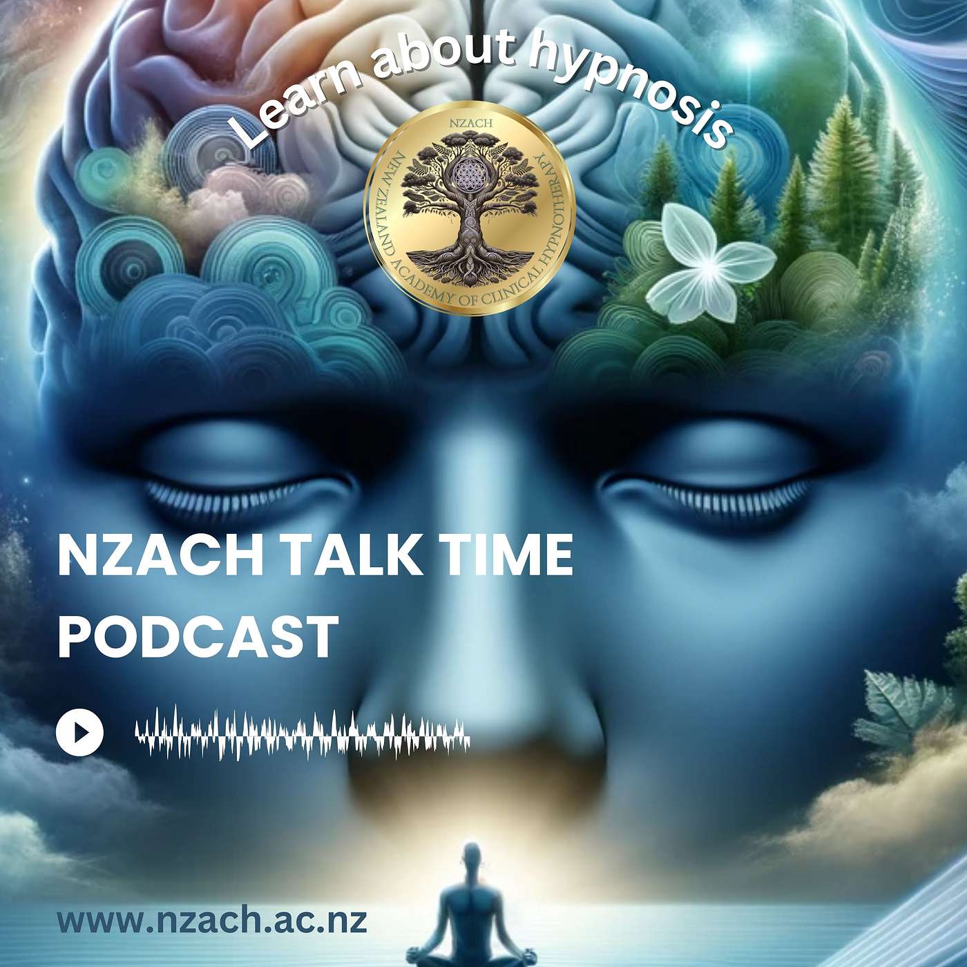 Meredith McCarthy\'s NZACH Talk Time Podcast