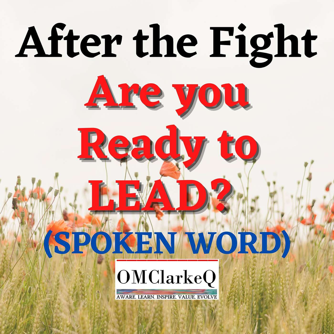 After the Fight, are You ready to Lead? (Spoken Word)