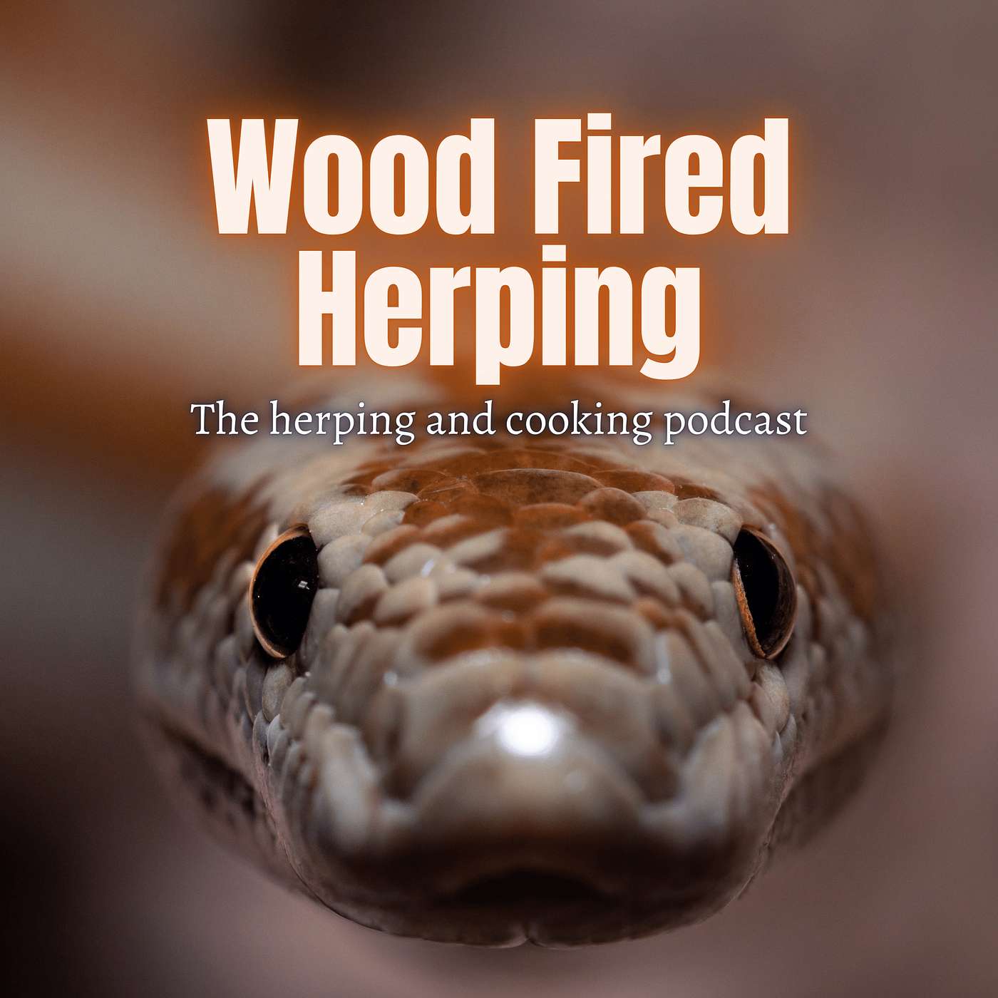 Rosy Boas, Wildlife Rehabbing, and Ethical Herping with Danny Arthur