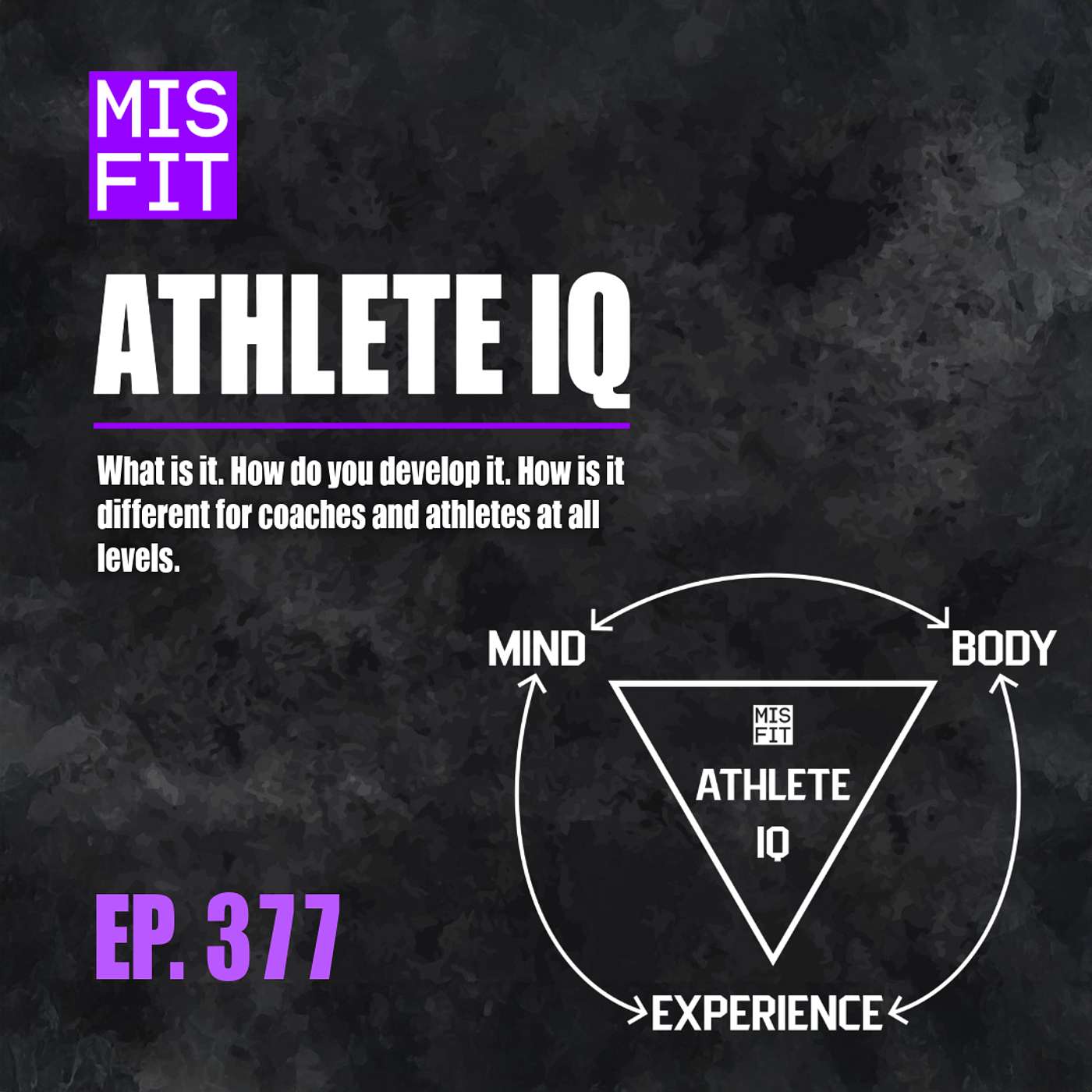 Building Athlete IQ: What is it. How do you develop it. How is it different for coaches and athletes at all levels. - E.377