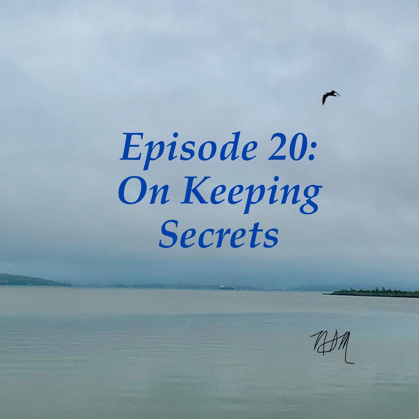 #20:  On Keeping Secrets (and the freedom that comes from releasing them and finding peace) episode artwork