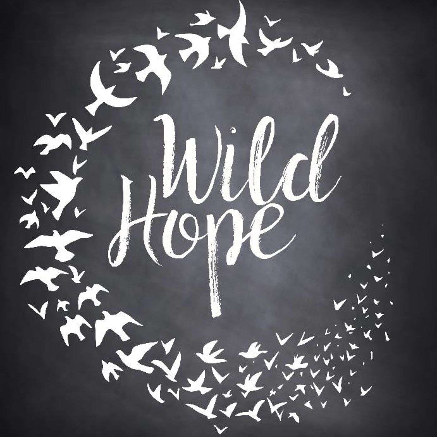 Wild Hope:  The Return of Christ - Crystal George episode artwork