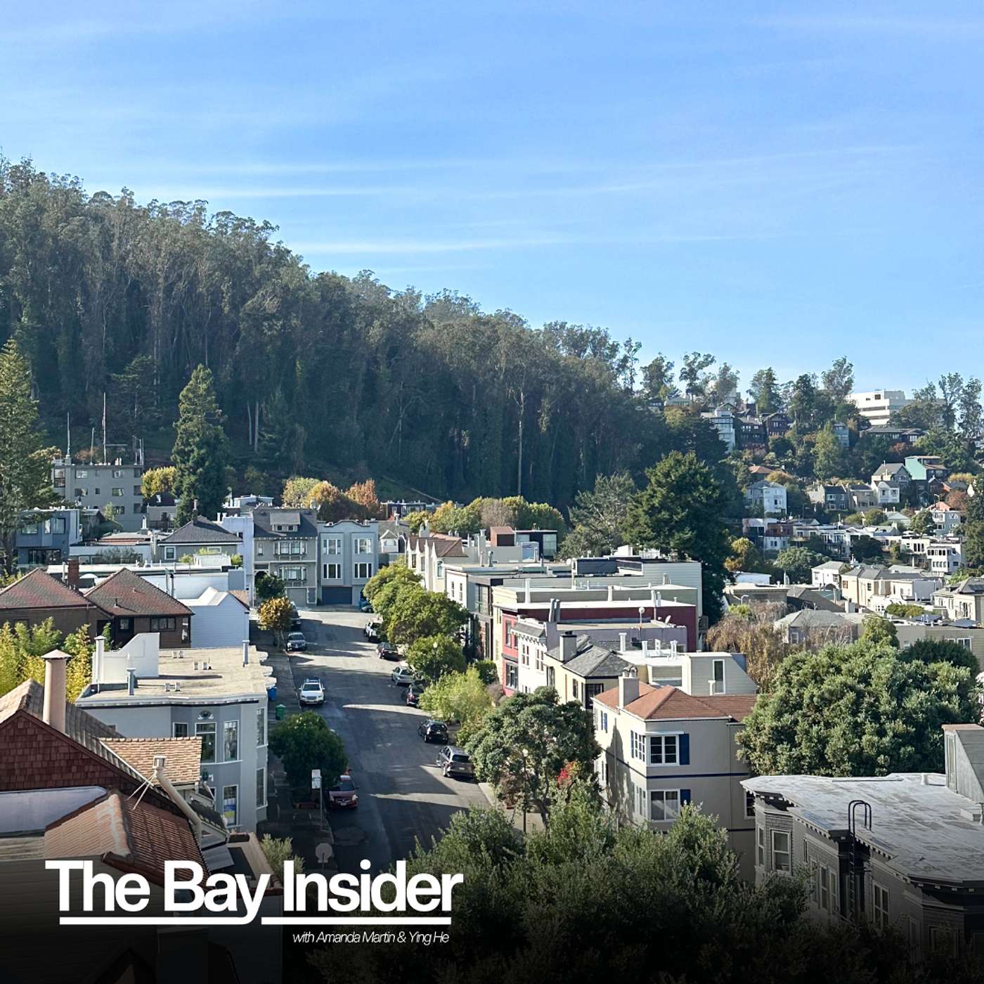 The Bay Insider