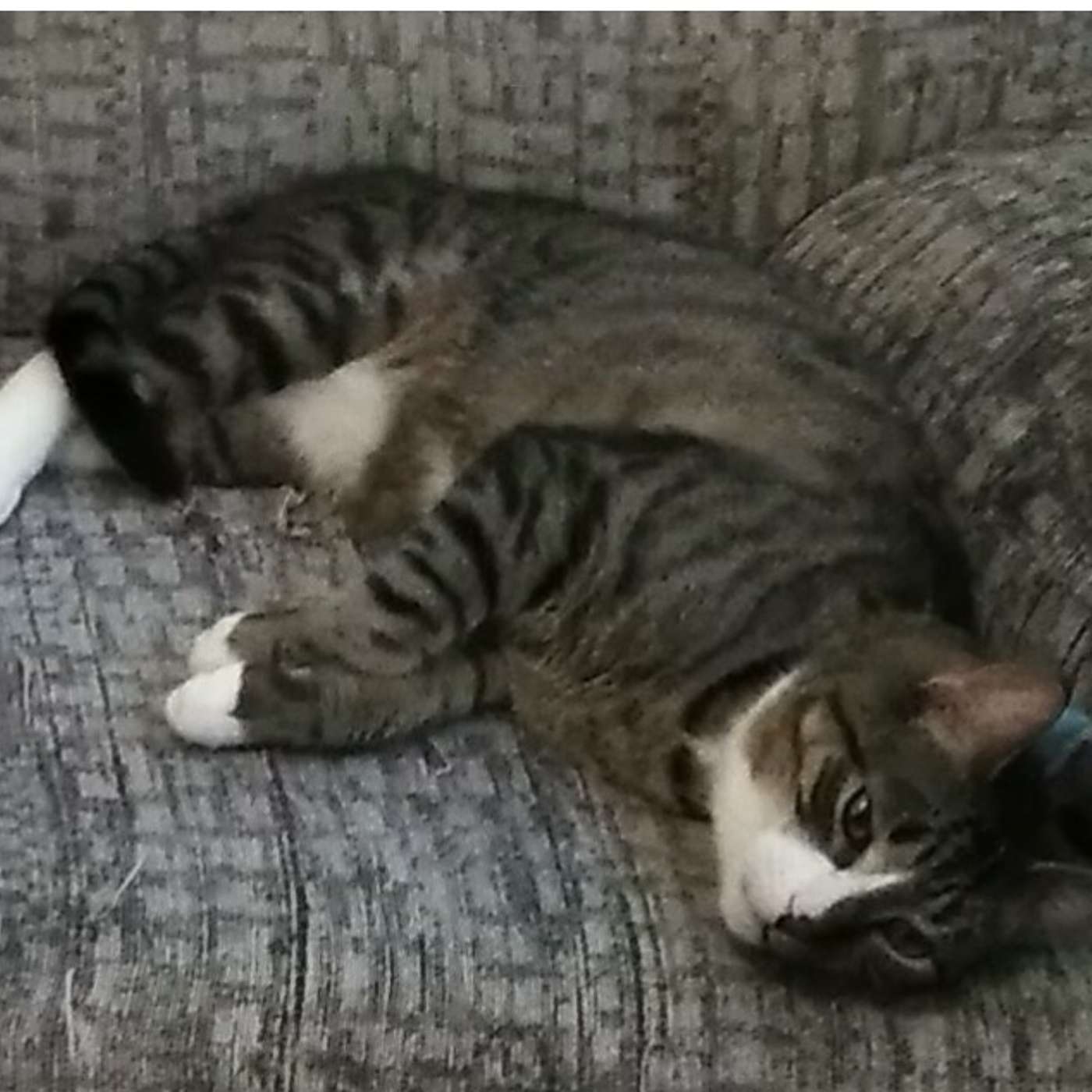 Mary Speaks Out About Her Treatment By CPS And The Injustice Of Having Her Baby Taken Away After Three Days