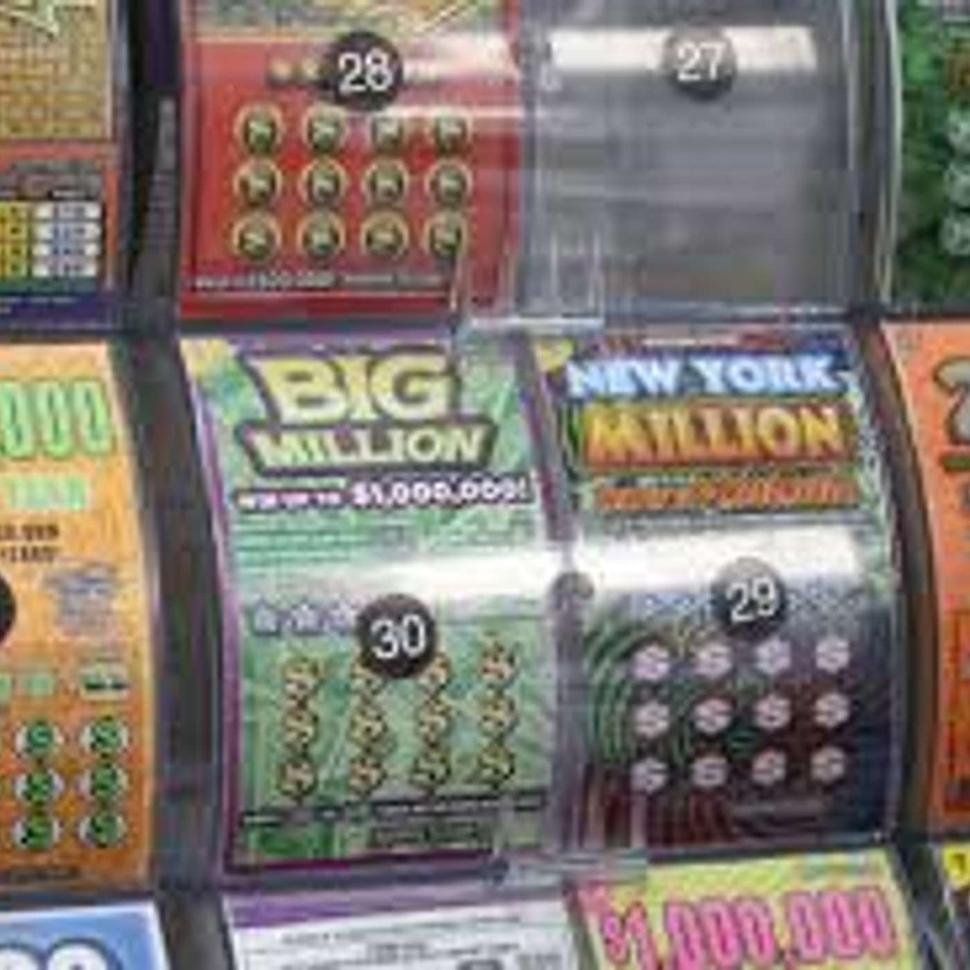 Teacher Tails - Karrer Shorts