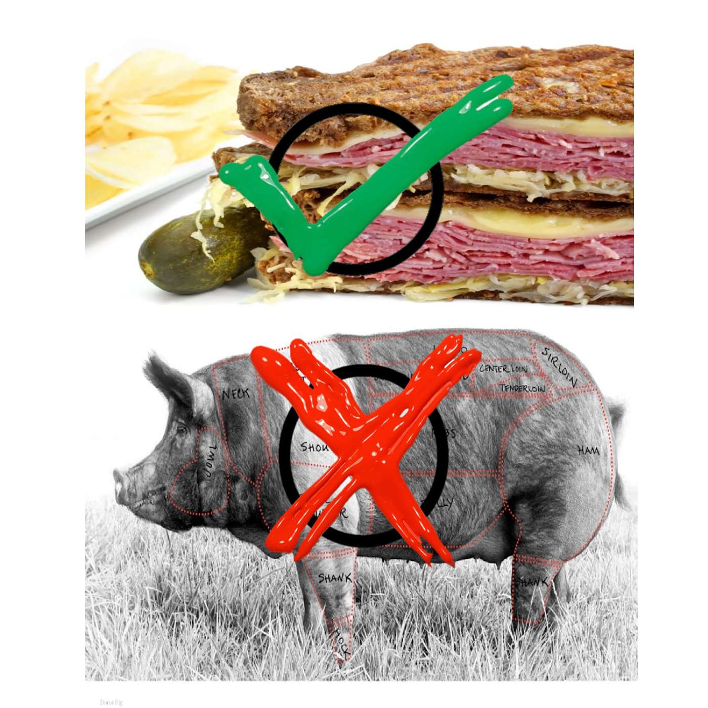 Why I Exchanged Salami For Pastrami - The Torah Food Diet PART 2 episode artwork