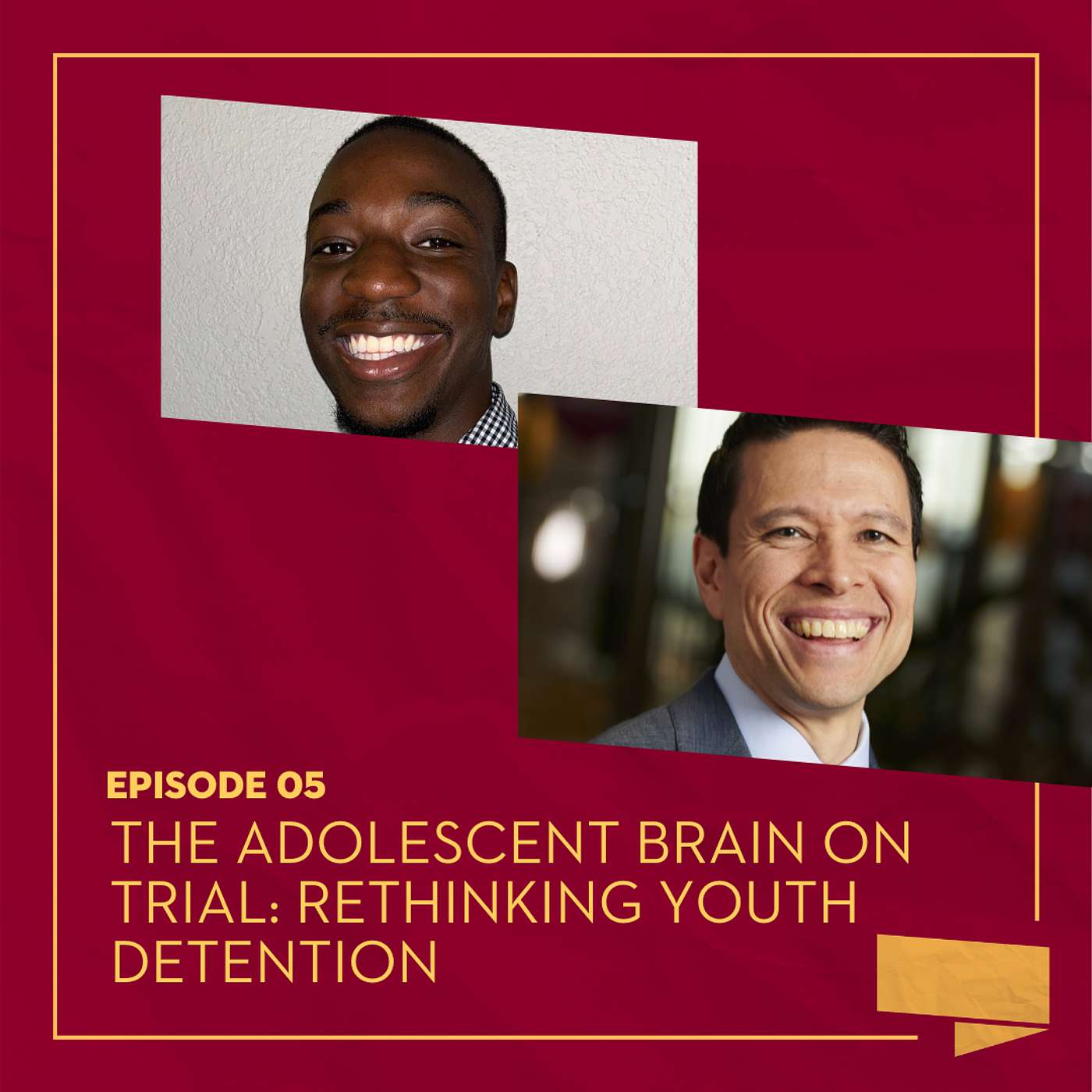 The Adolescent Brain on Trial: Rethinking Youth Detention episode artwork