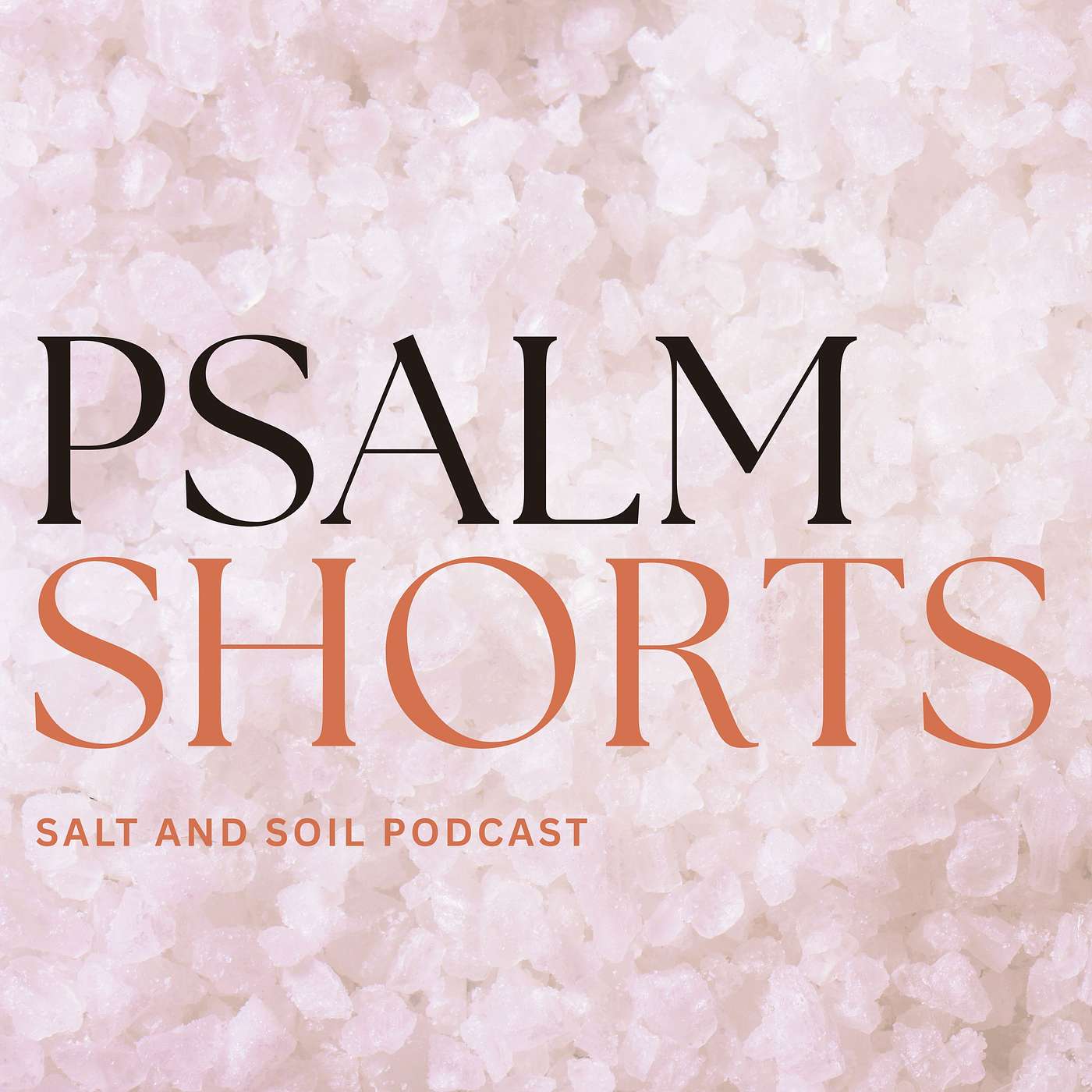 Psalm Shorts: Psalm 3 episode artwork