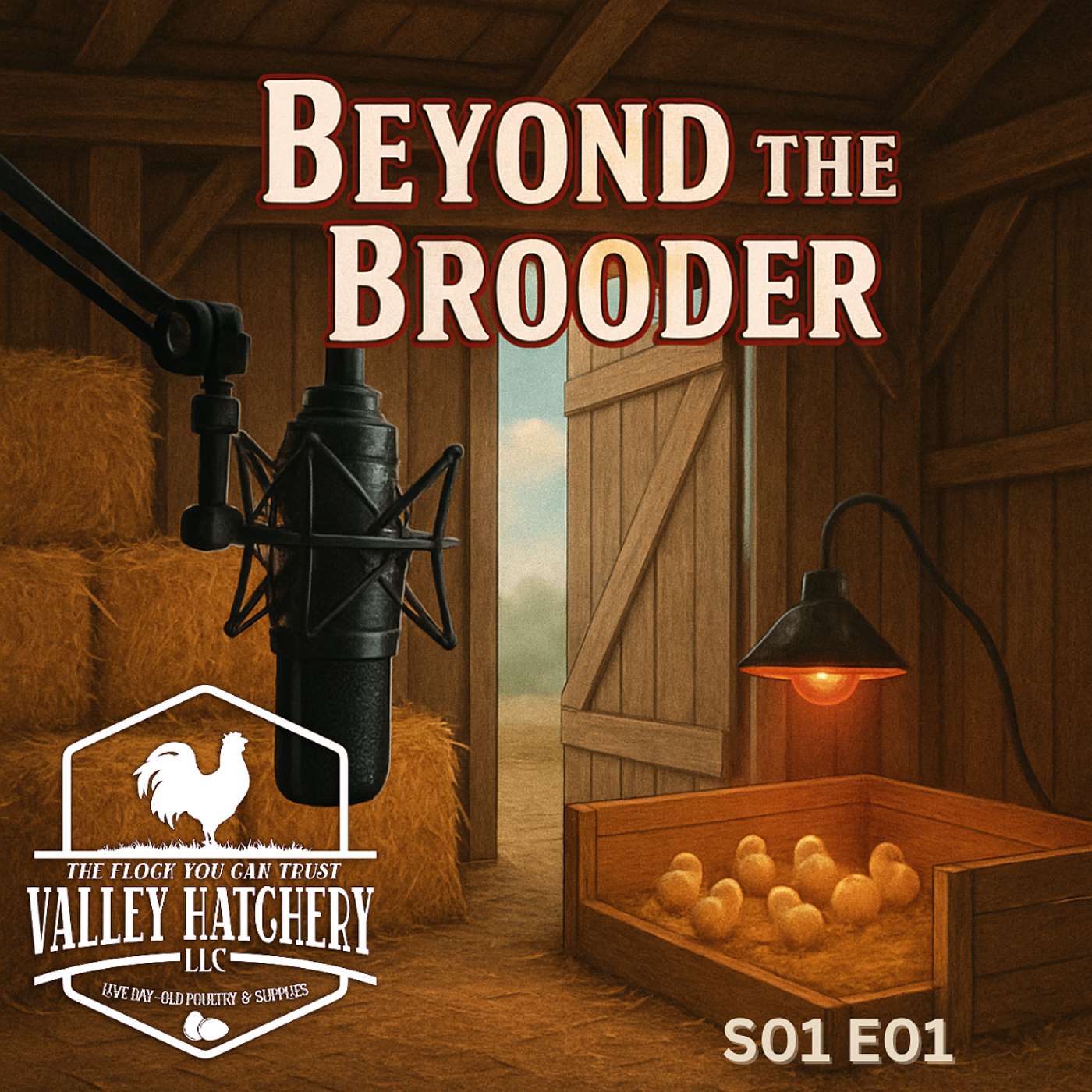 Beyond the Brooder: Mastering the First Year with Backyard Chickens - S01E01 episode artwork