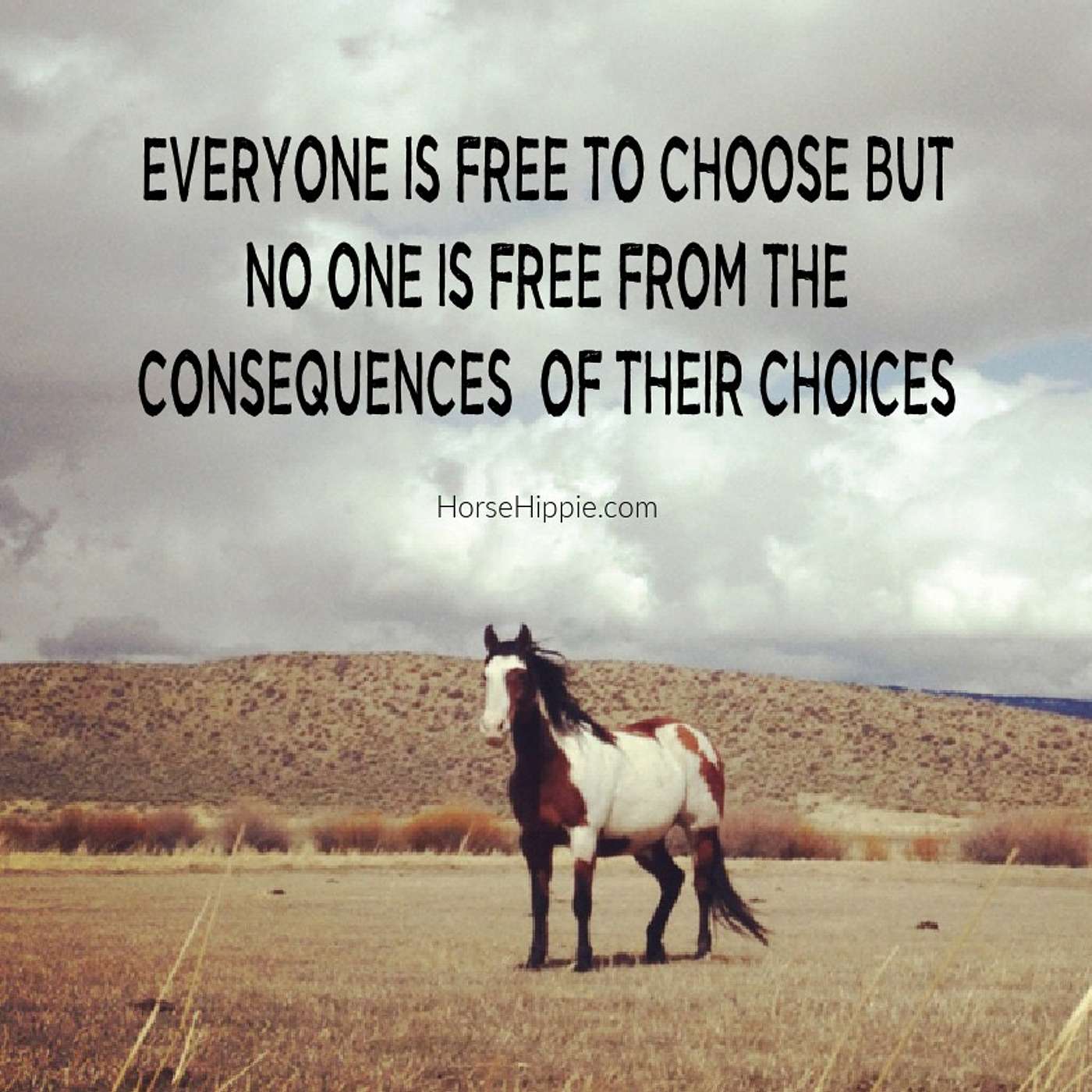 The Consequences of Their Choices episode artwork