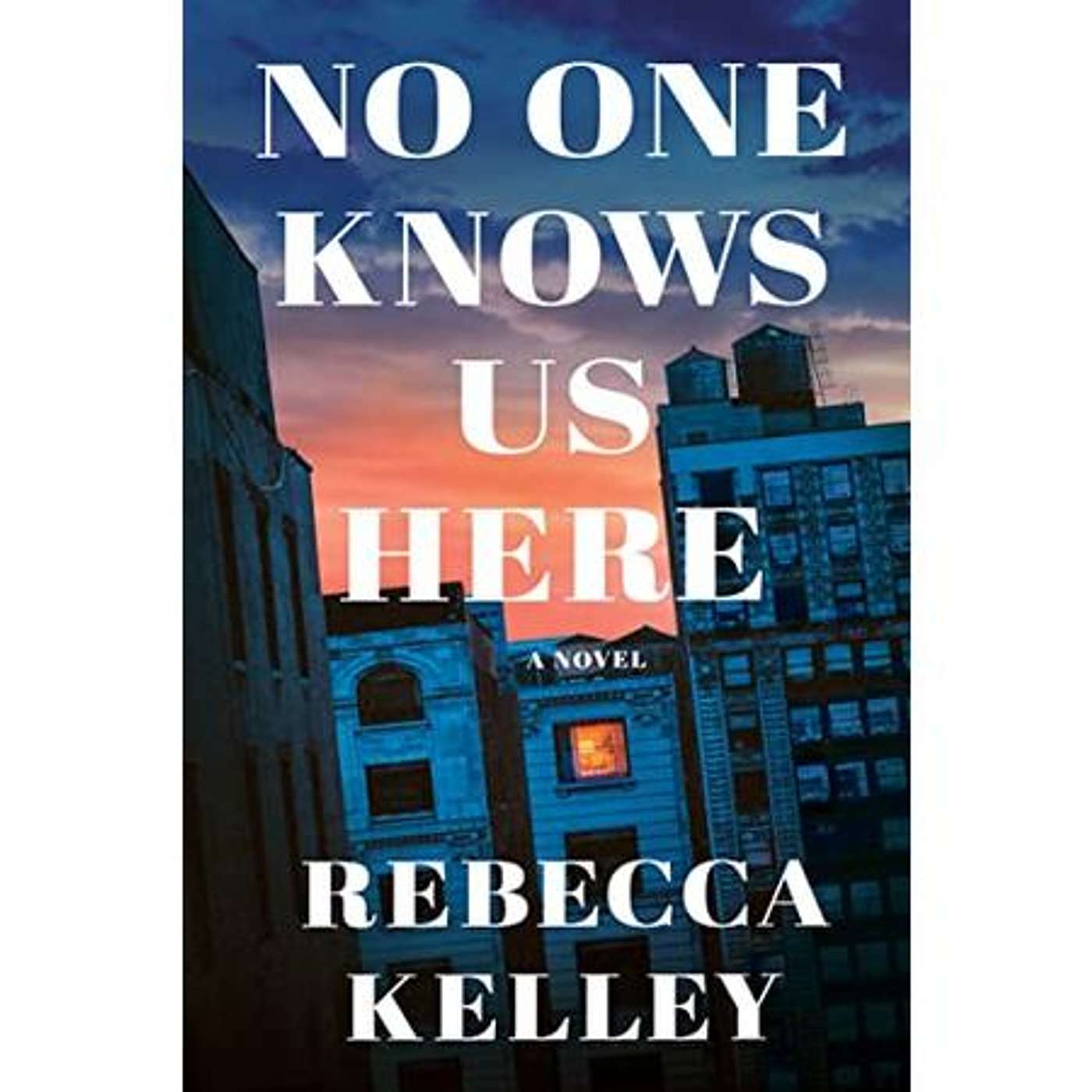 Obsession and control - Thrillers with Author Rebecca Kelley on Book Lights episode artwork