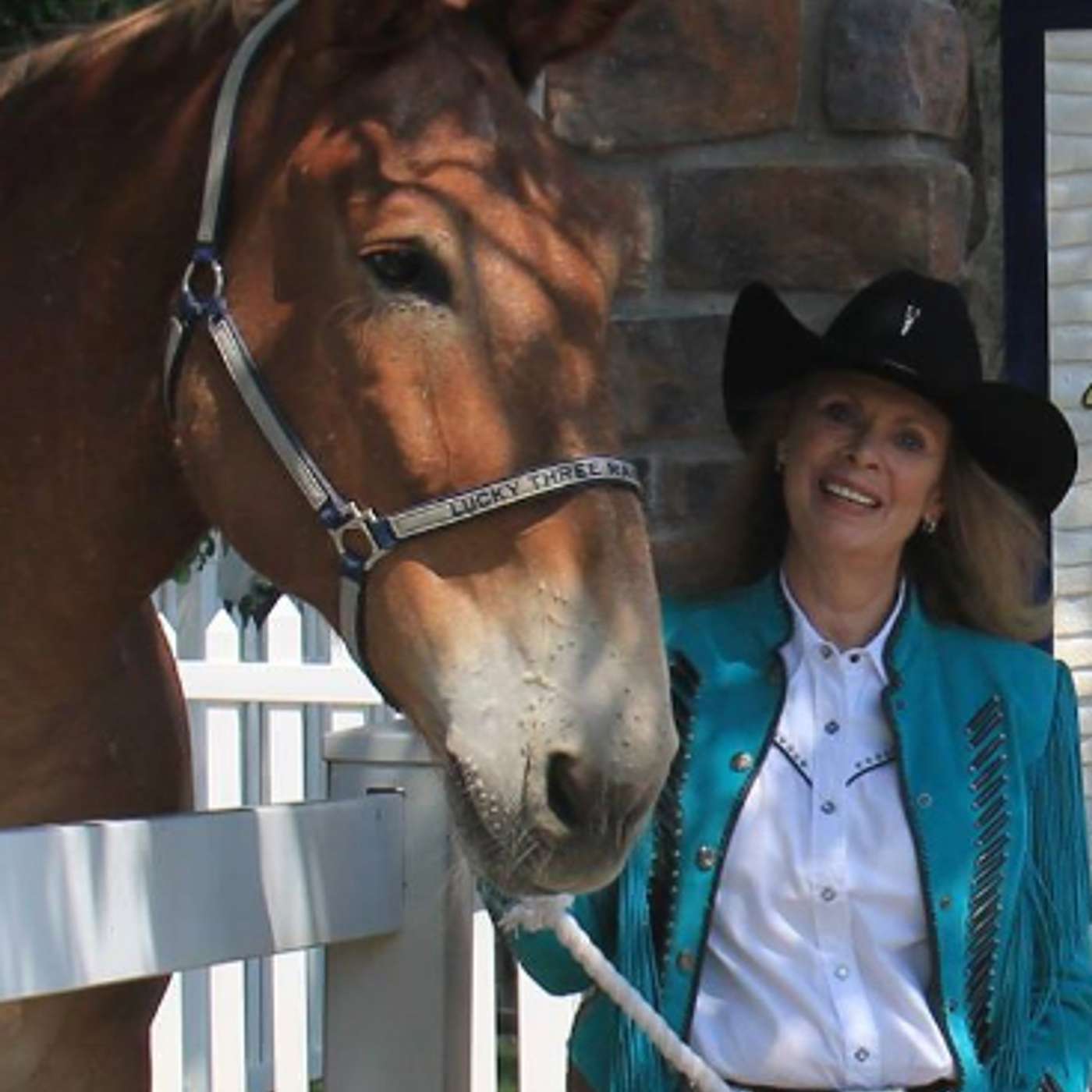 MULE TALK! THE PODCAST ABOUT MULES, MULE TRAINING, AND THE MULE INDUSTRY.