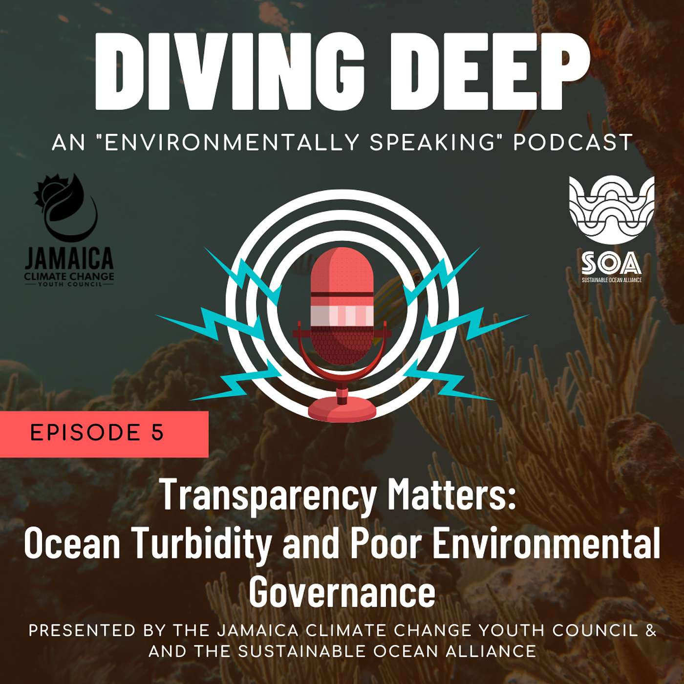 Transparency Matters: Ocean Turbidity and Poor Environmental Governance