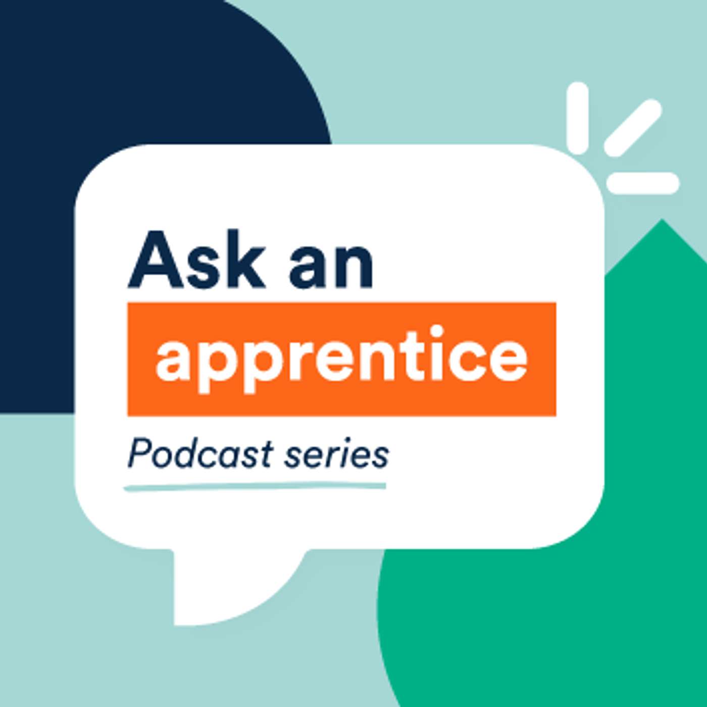 Ask an apprentice cover art
