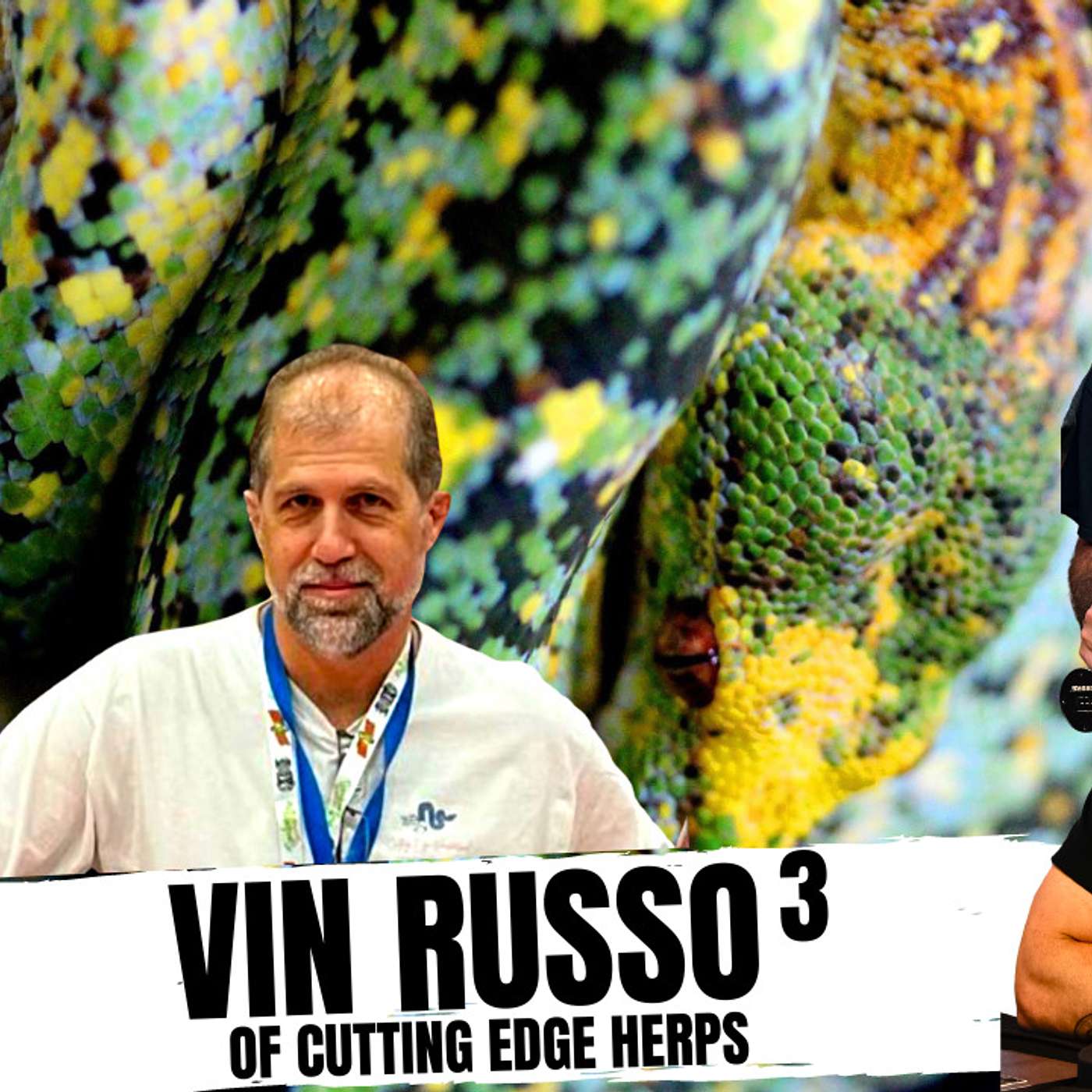 How Vin Russo really feels about Designer Green Tree Pythons | All In The Tree Tuesday's