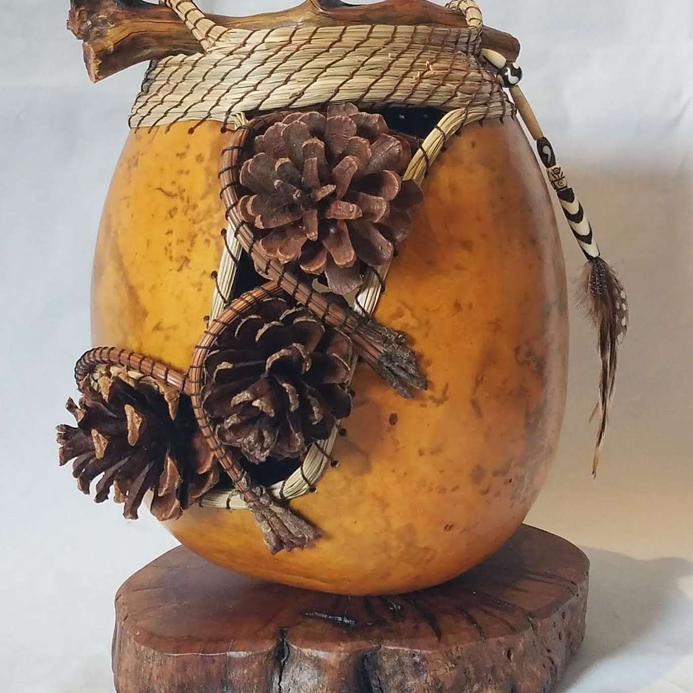 Out of my Gourd's Podcast