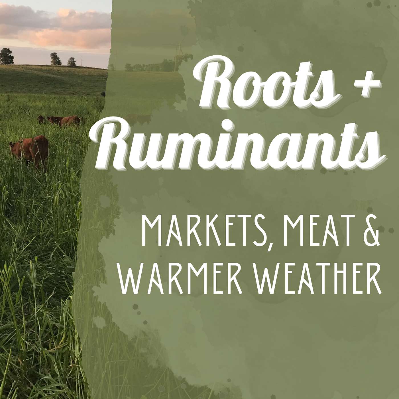 Markets, Meat, and Warmer Weather