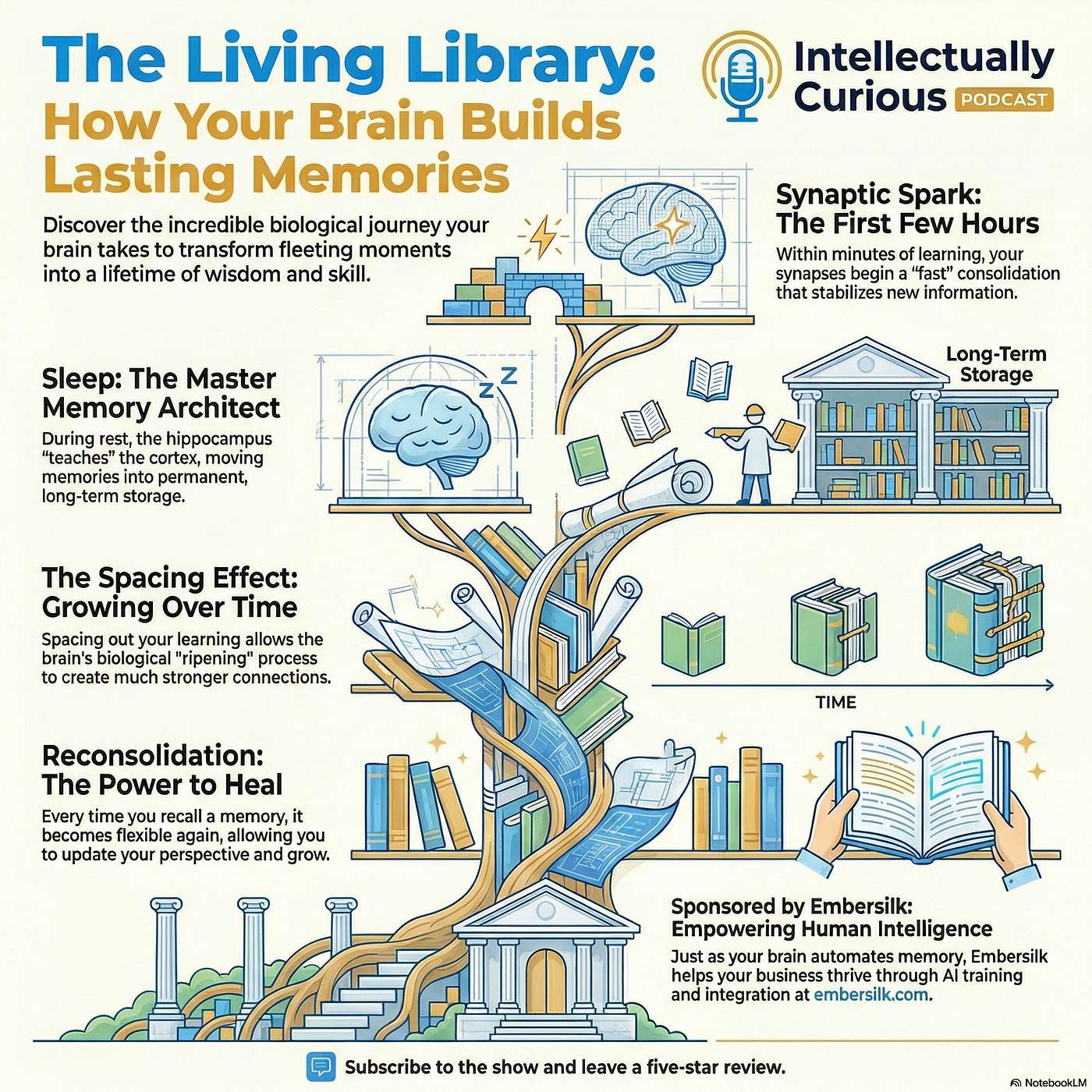 The Ripening Brain: Memory, Sleep, and the Art of Rewriting the Past episode artwork