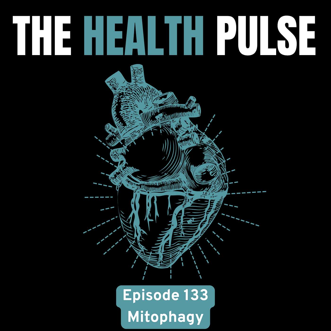 Episode 133 | Mitophagy And Real Energy episode artwork