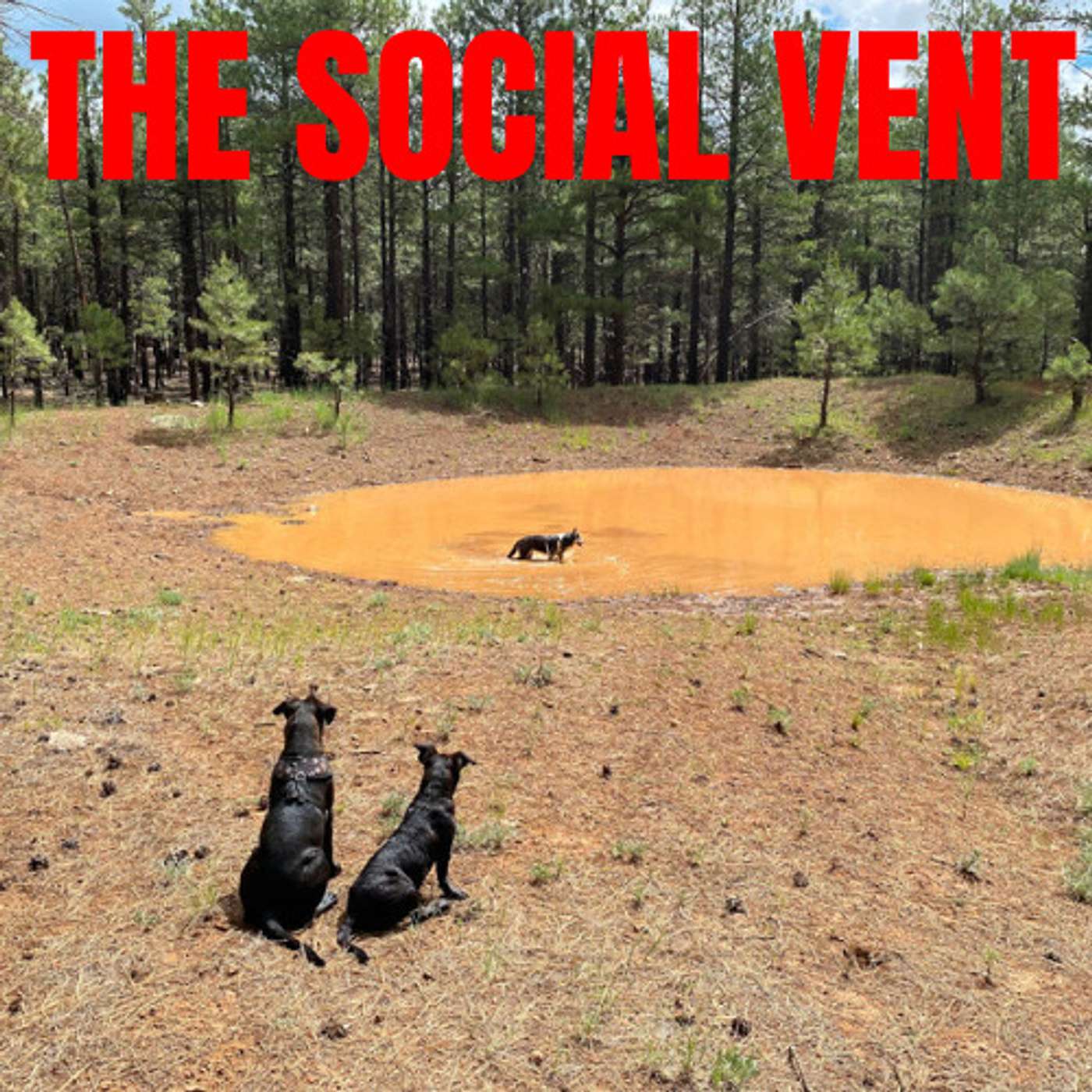 The Social Vent: Jimbo Strikes Rant episode artwork