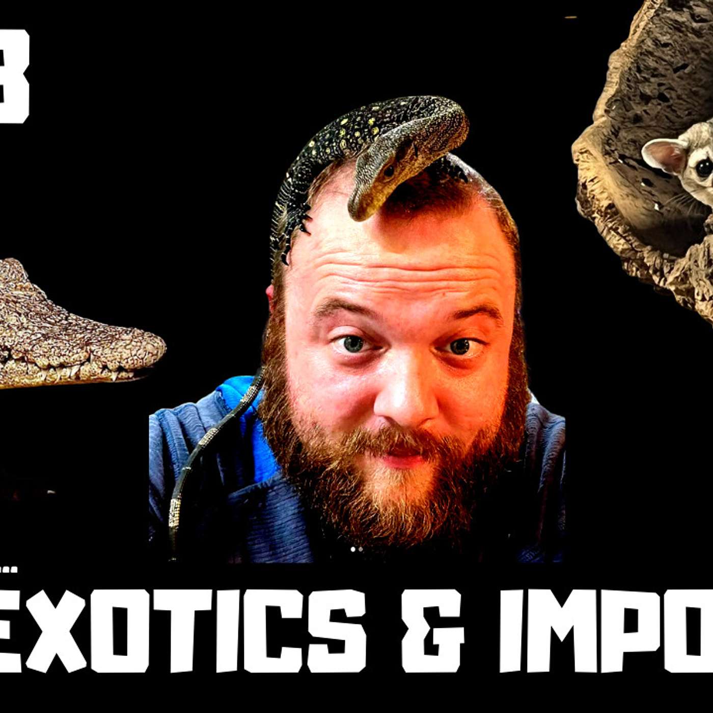 #158 CHRIS OF CM EXOTICS & IMPORTS | IMPORTED REPTILES | MONITOR BREEDER | MAMMALS | TRAP TALK