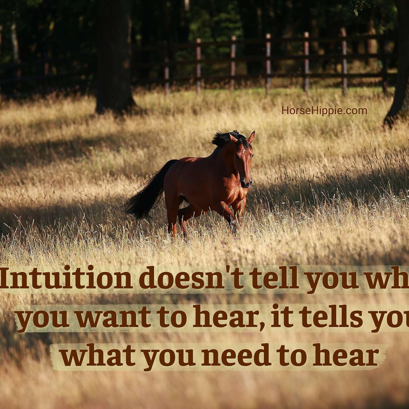 Your Intuition