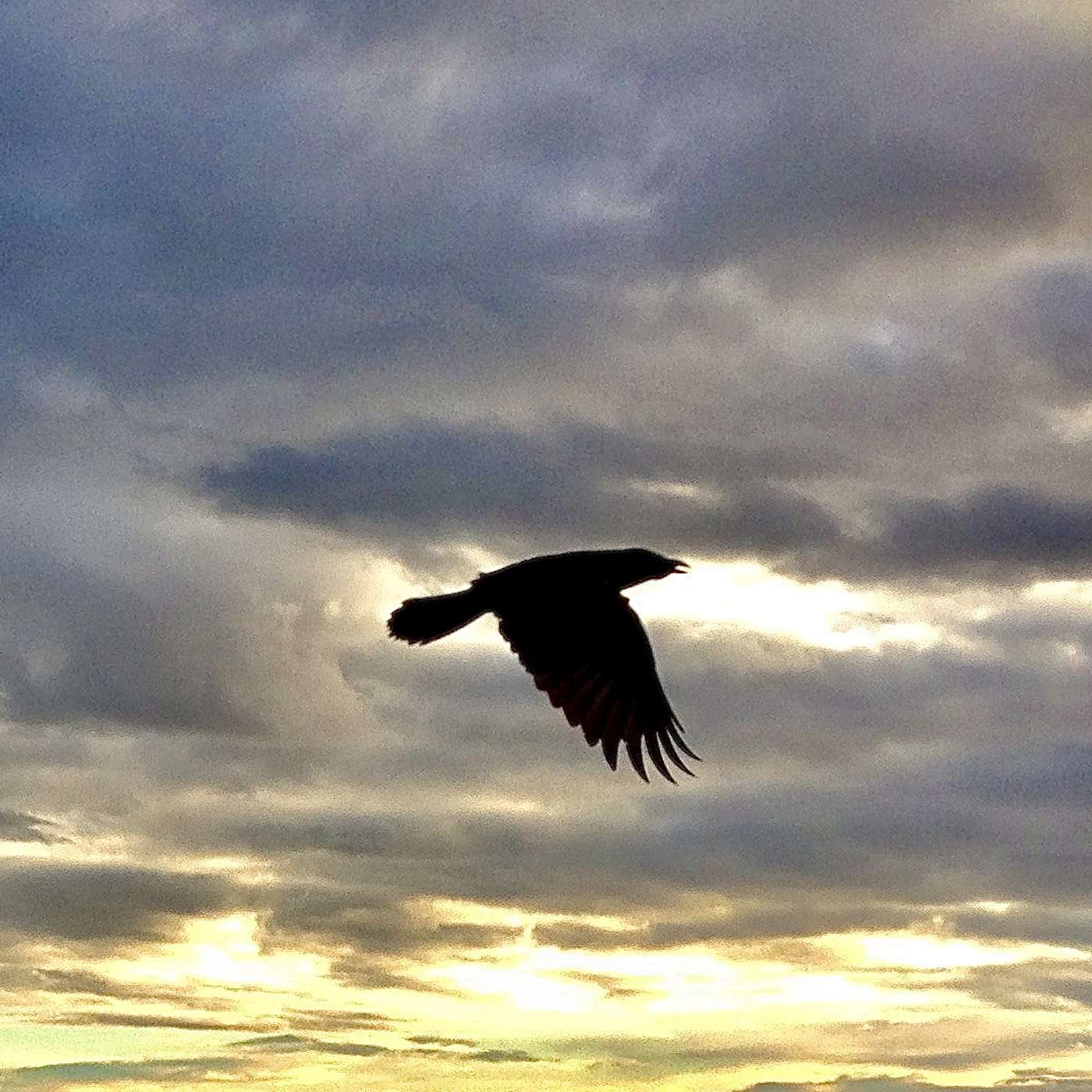 Episode 18 - River of Wind