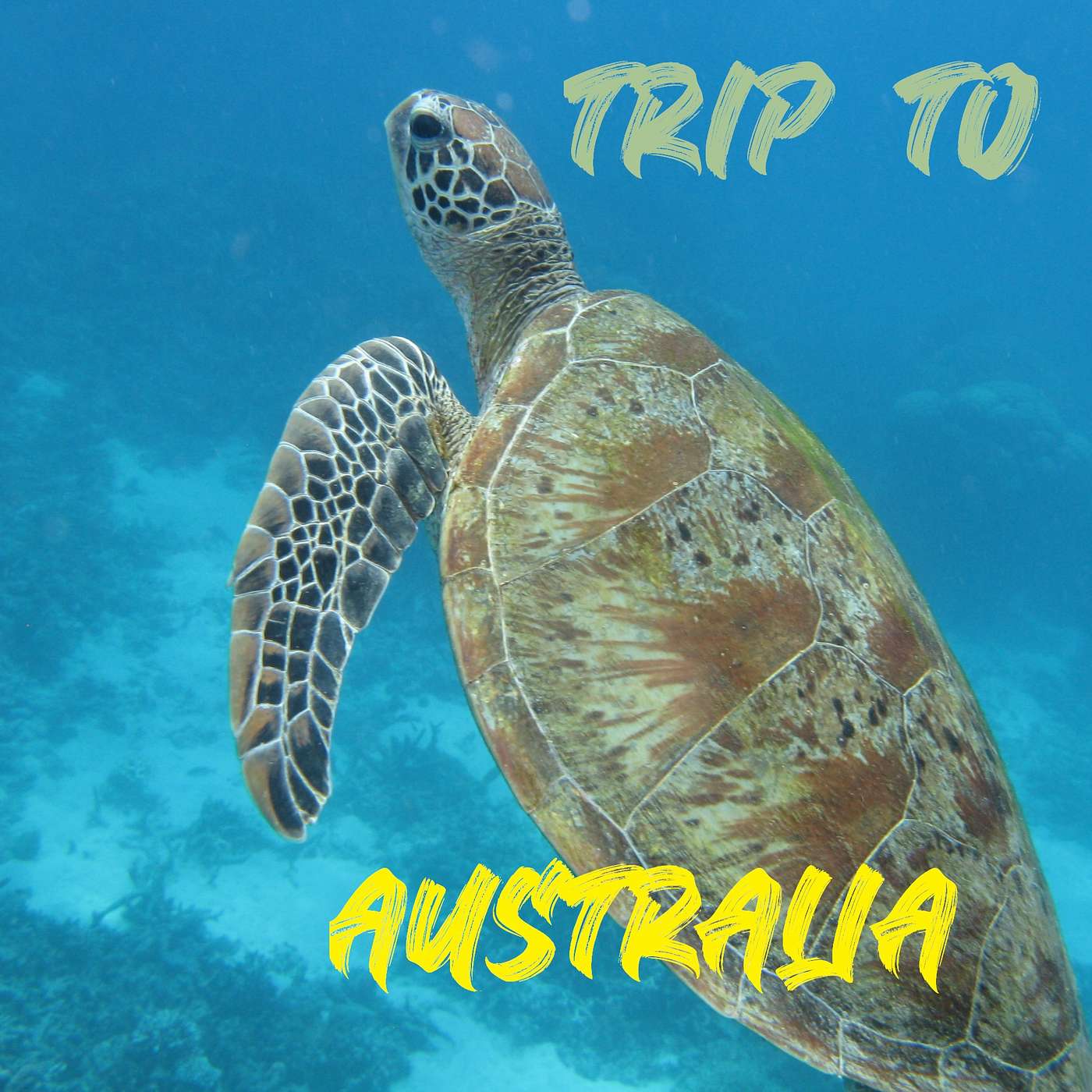 Trip To Australia Trip To Australia