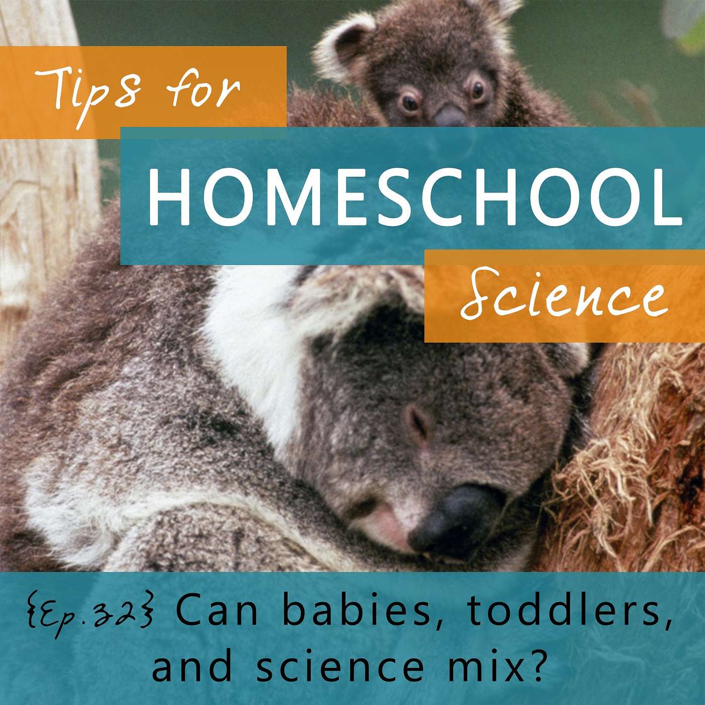 Ep 32 - Can babies, toddlers, and science mix? Yes, as long as you use these 5 simple tips! episode artwork