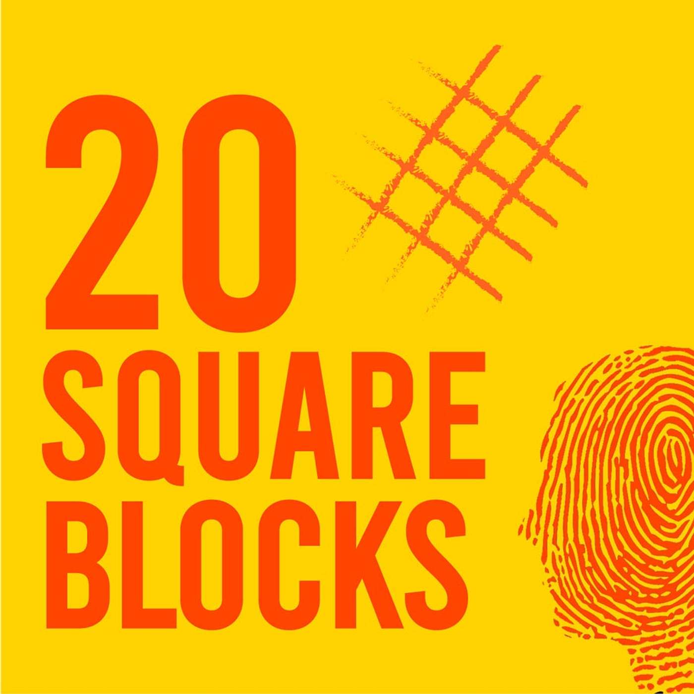 20 Square Blocks