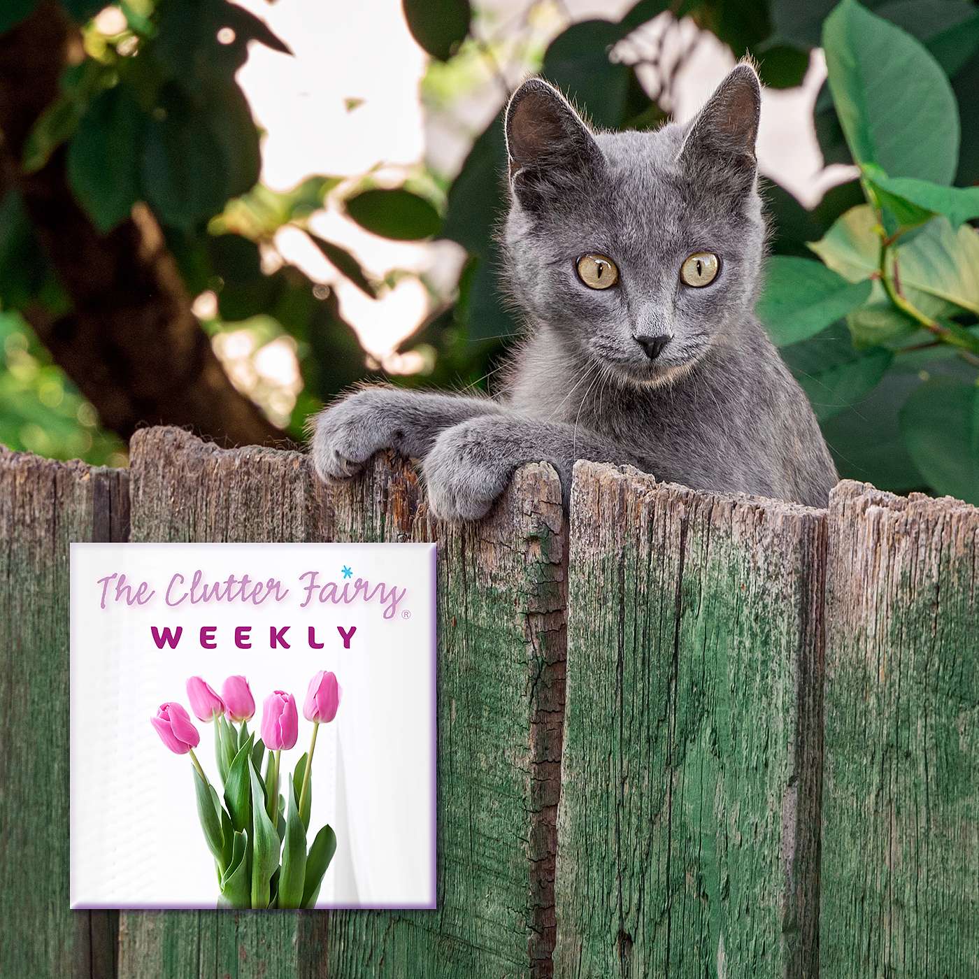 Other People’s Stuff: Setting Clear Boundaries to Control Clutter - The Clutter Fairy Weekly #310 episode artwork