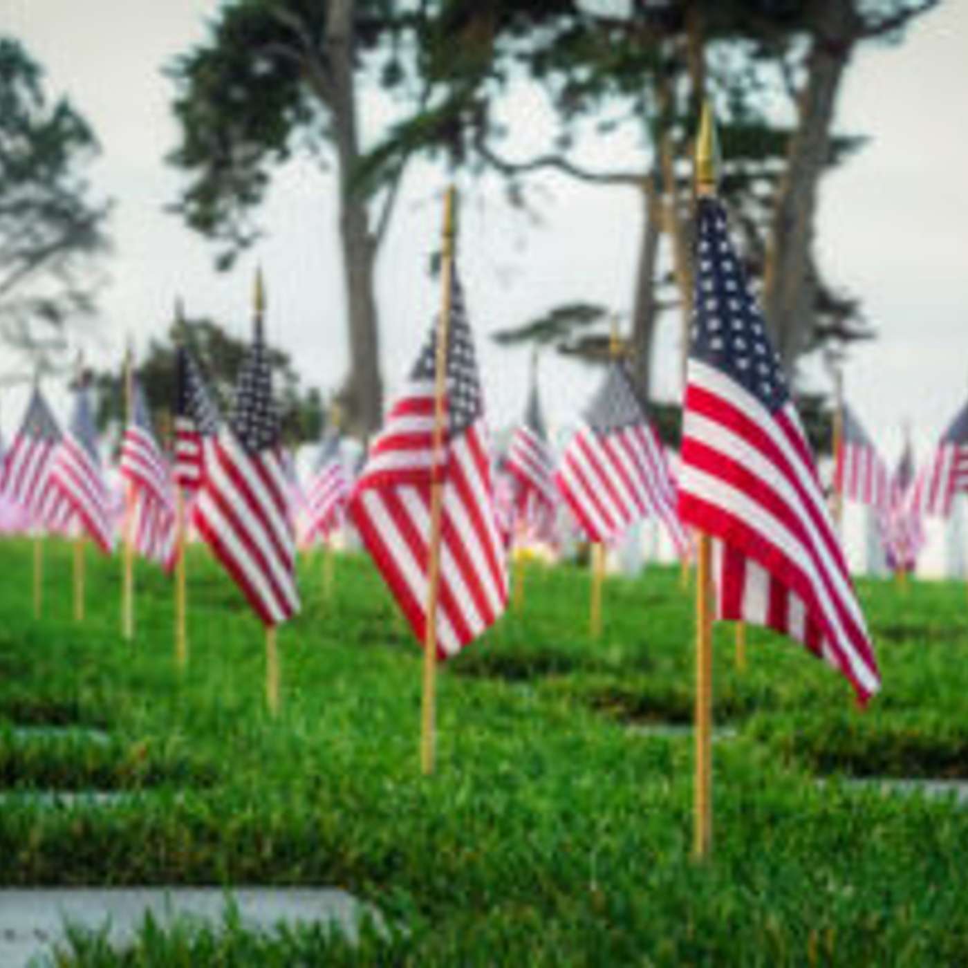 Healing Field Tribute in Tempe Honors 9/11 Victims
