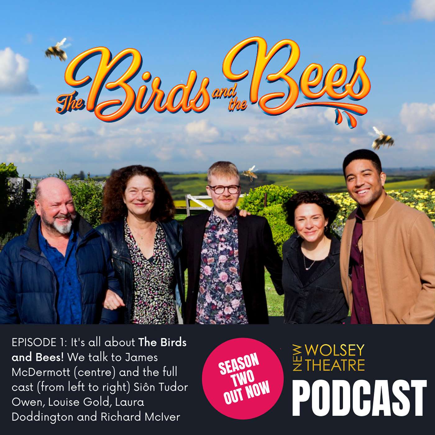 New Wolsey Theatre Podcast