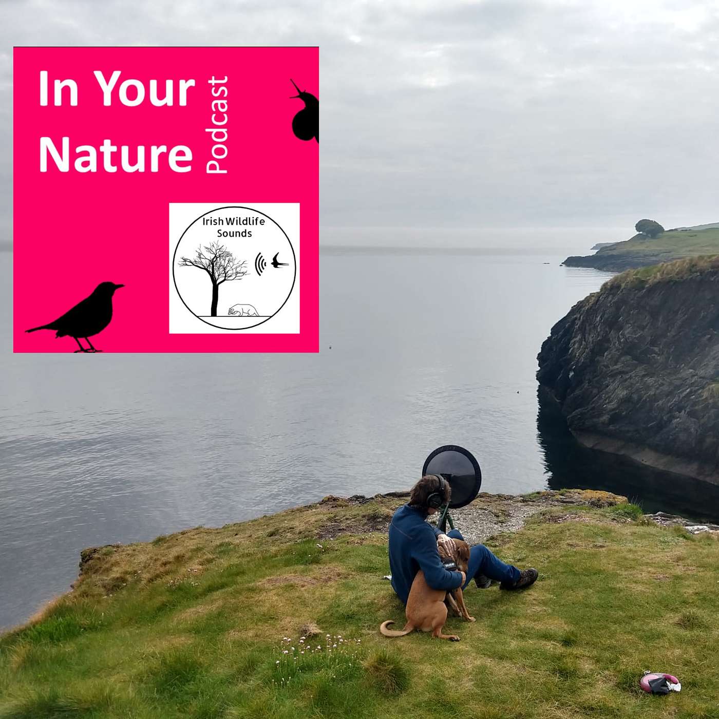 In Your Nature Ep 19 - Irish Wildlife Sounds