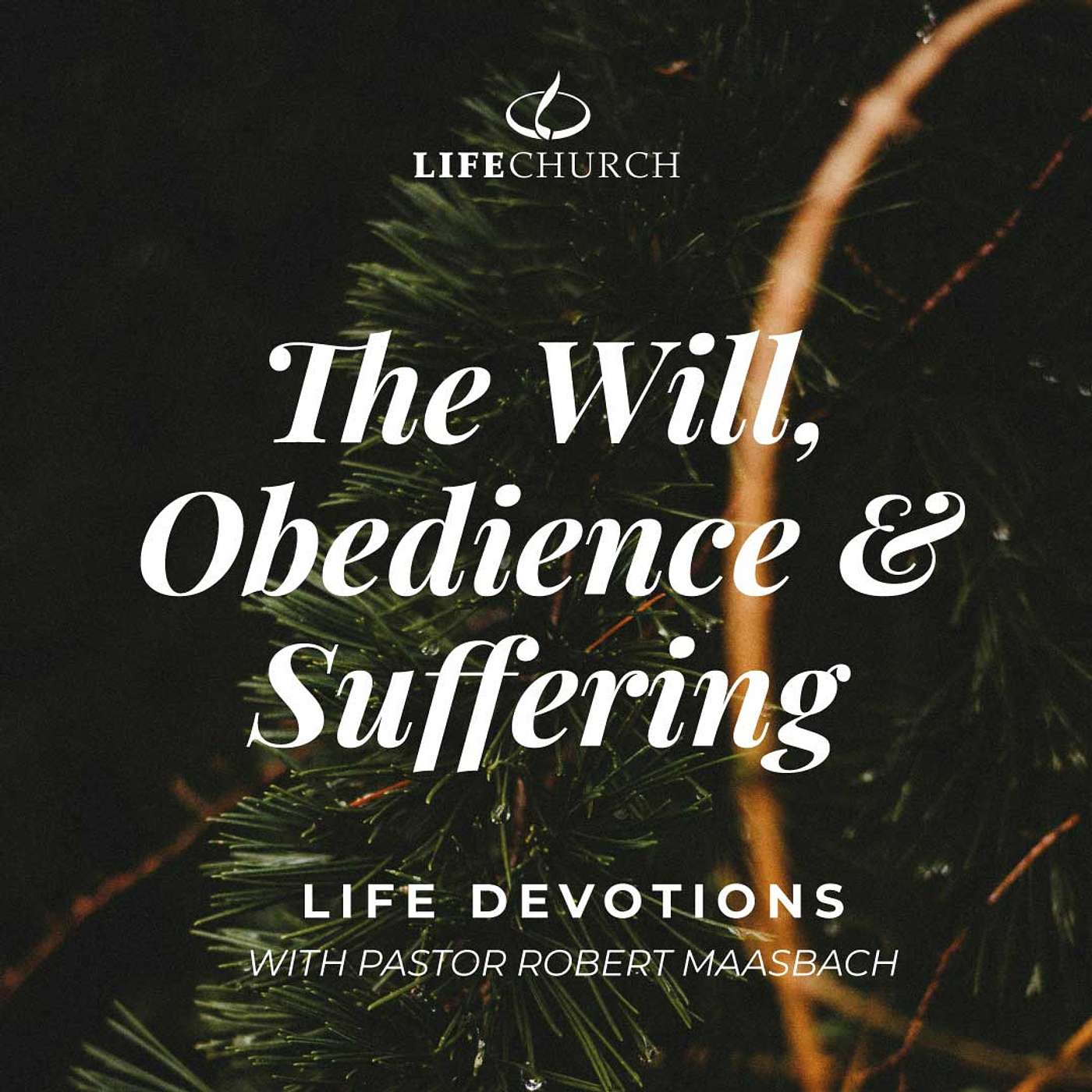 The Will, Obedience & Suffering - 11.12.24
