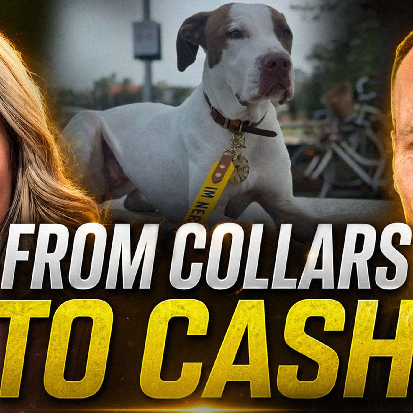 183. Julka Makes $13,000 Per Month Selling Dog Collars episode artwork