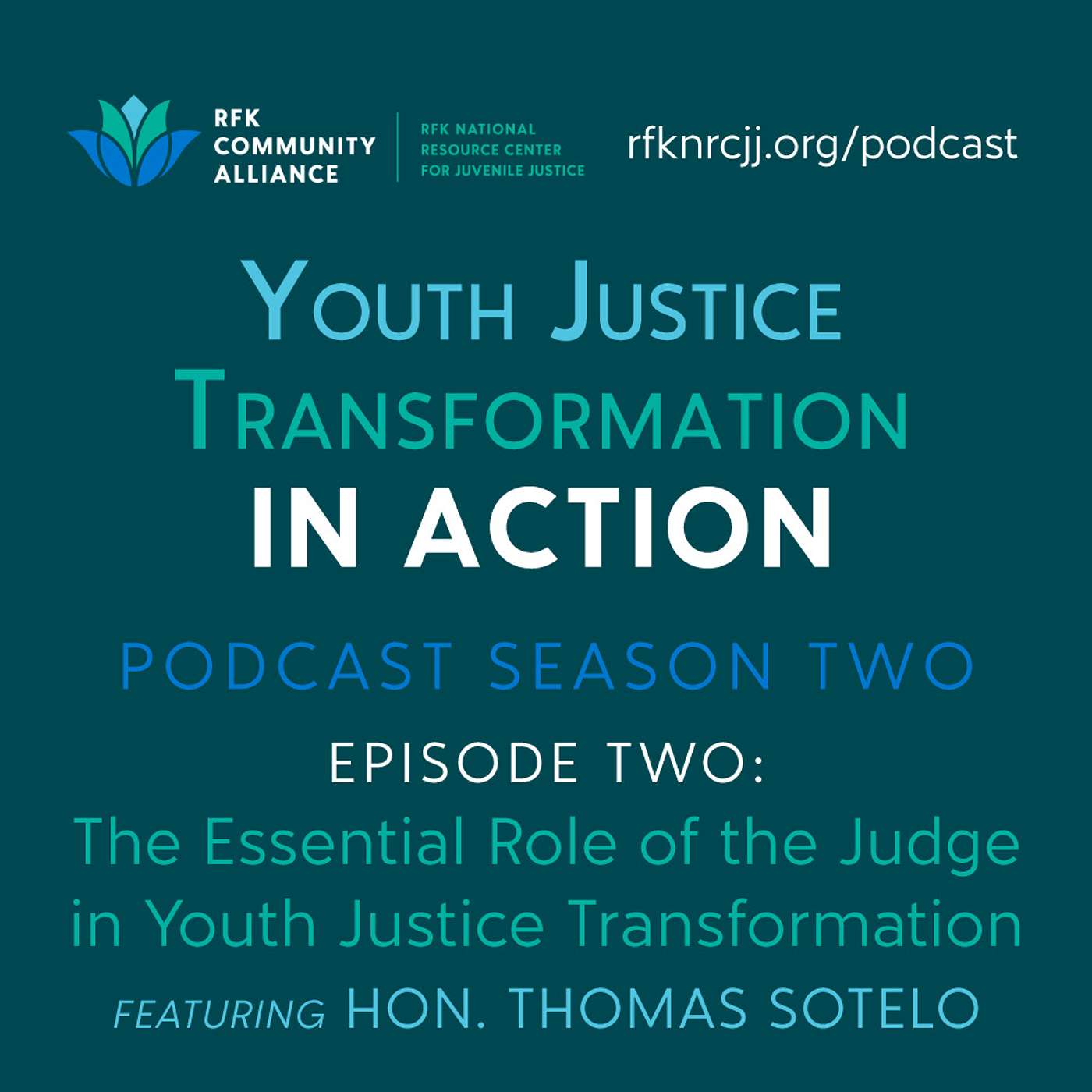 Youth Justice Transformation in Action