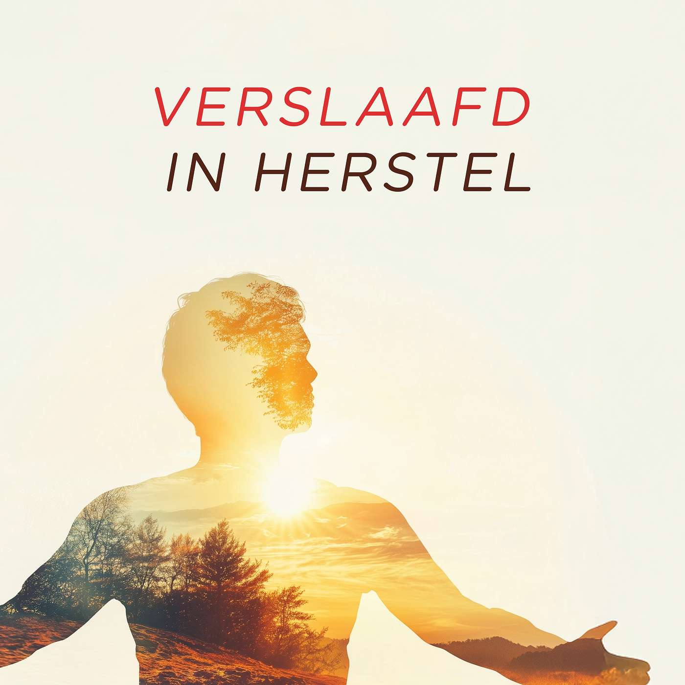 Verslaafd in Herstel! Powered by Phase 1