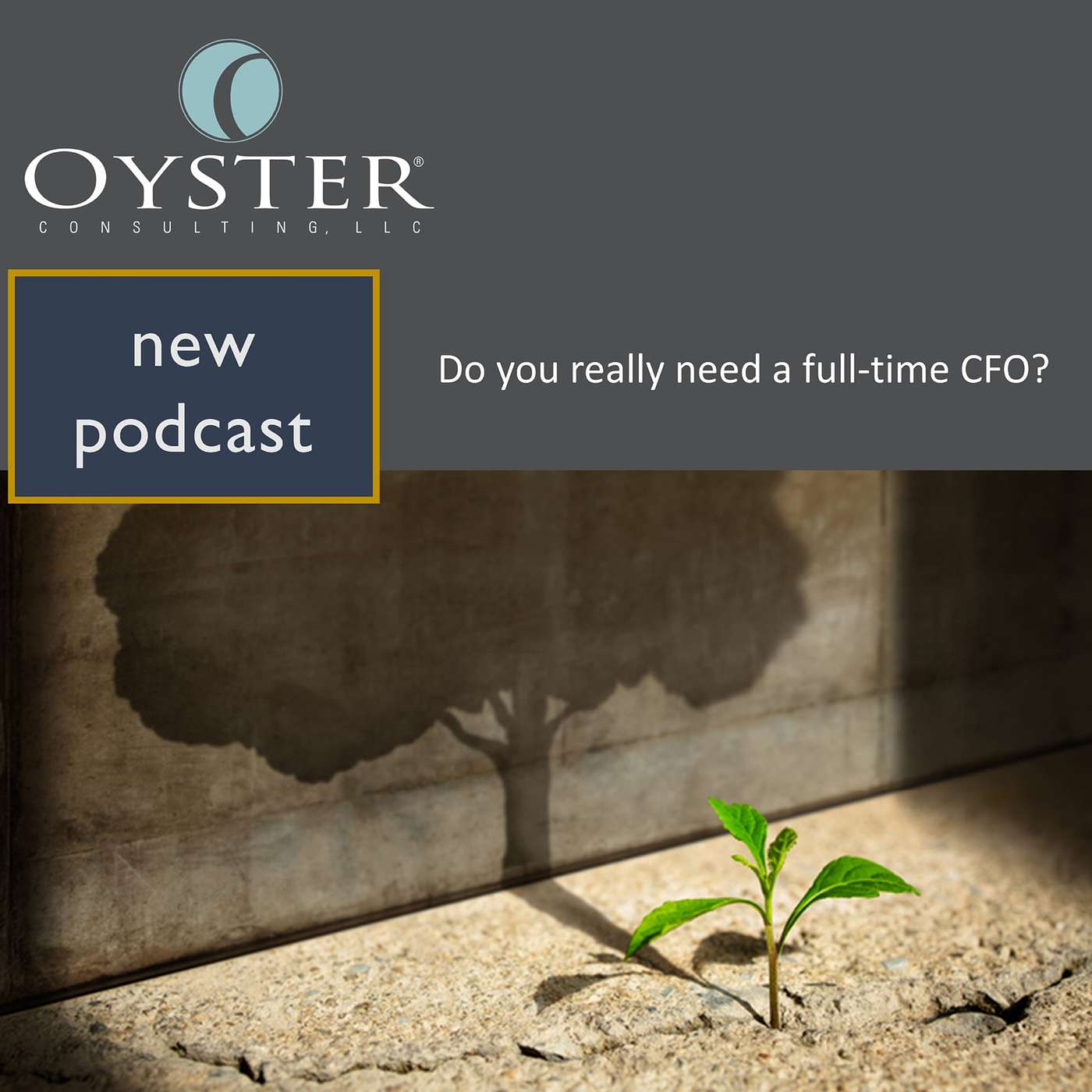 Oyster Stew - A Broth of Financial Services Commentary and Insights