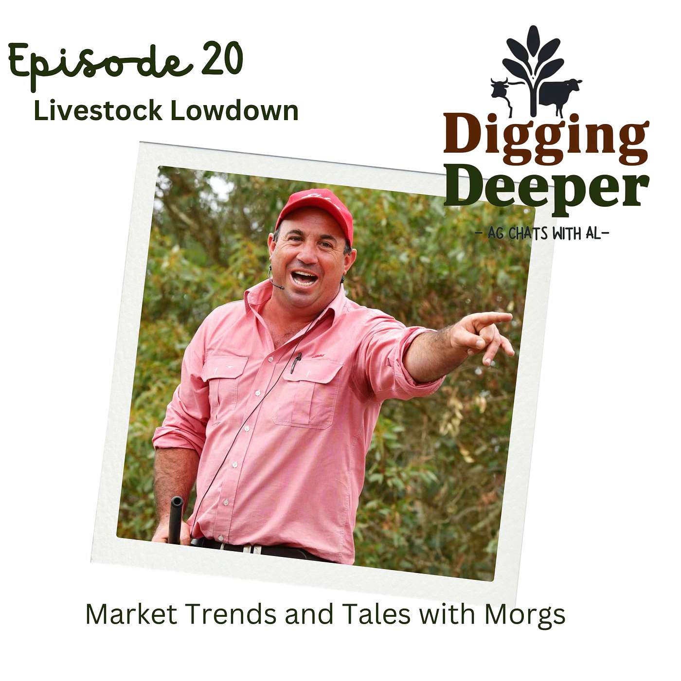 DIGGING DEEPER - Livestock Lowdown: Market Trends and Tales with Morgs