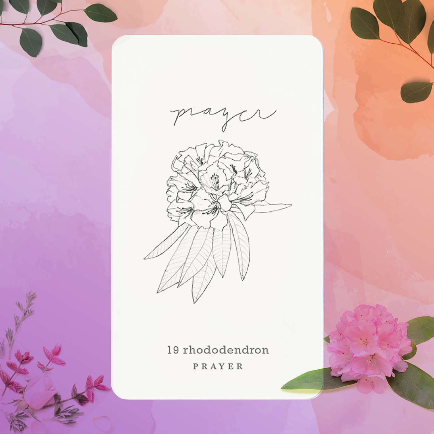 Gratitude Blooming Podcast